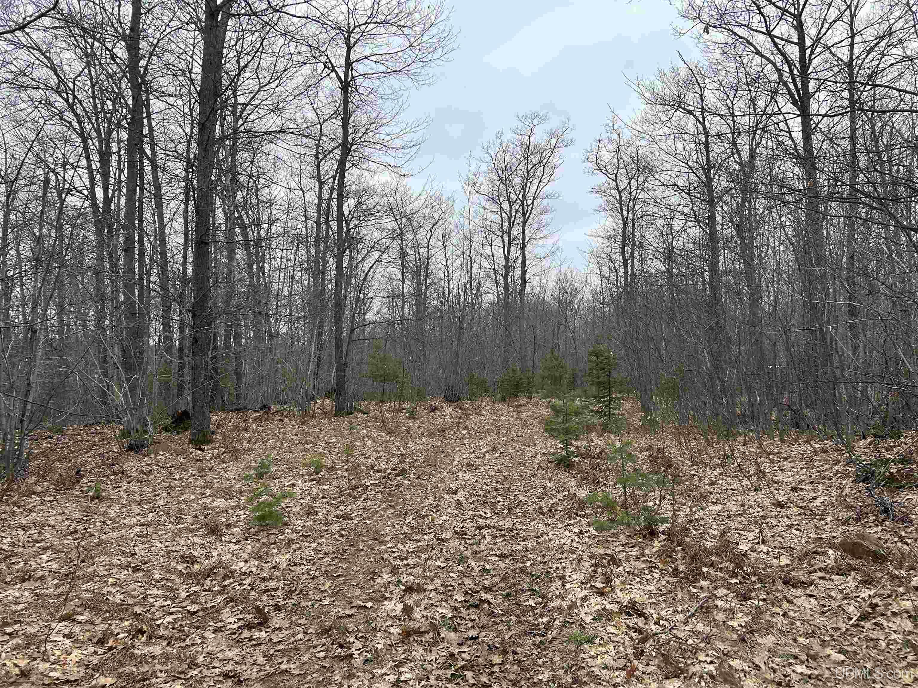 TBD Metcalf Road, Lakeport, MI, 48059