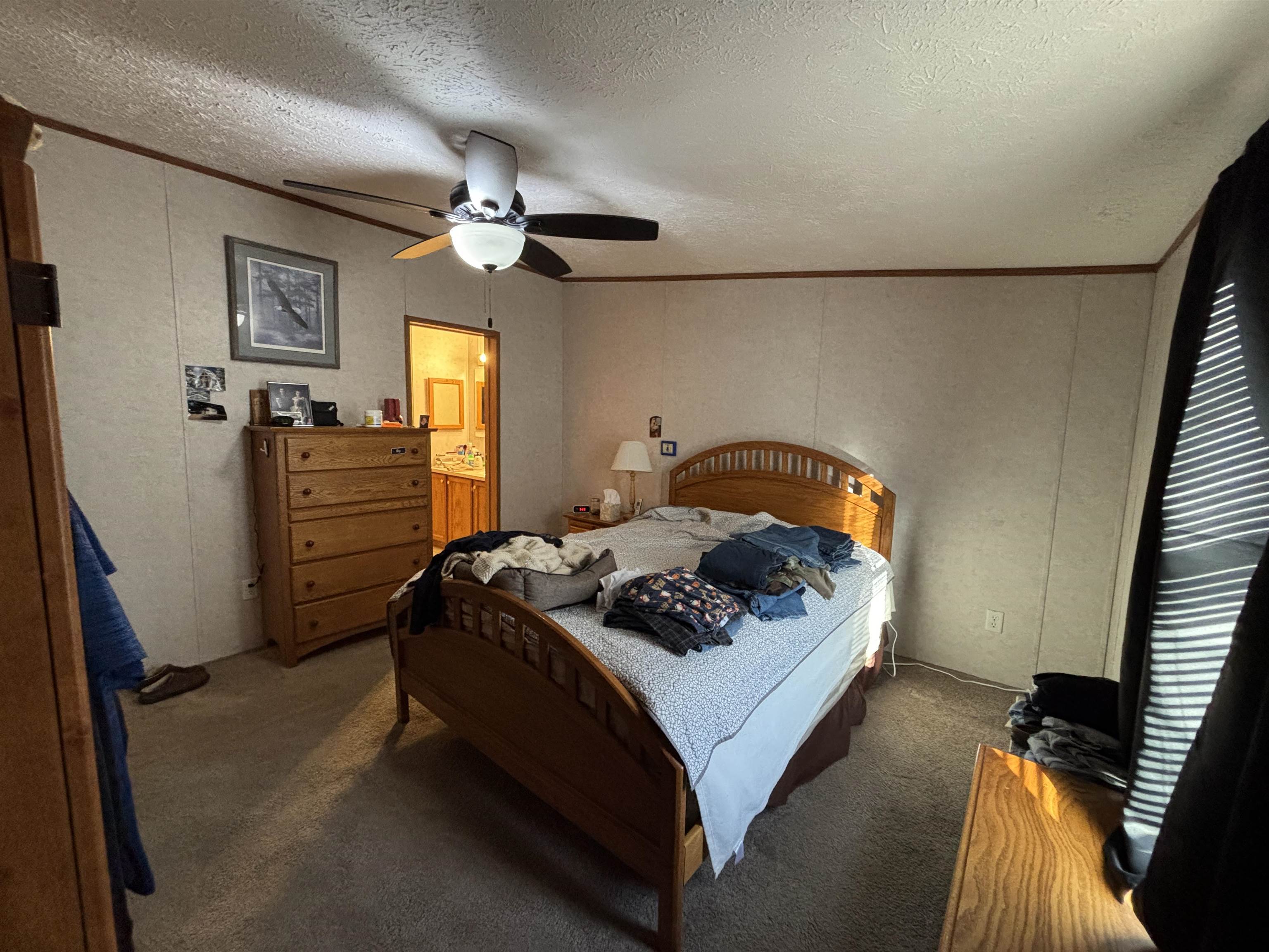 2171 Oakridge Drive, Farwell, MI, 48622