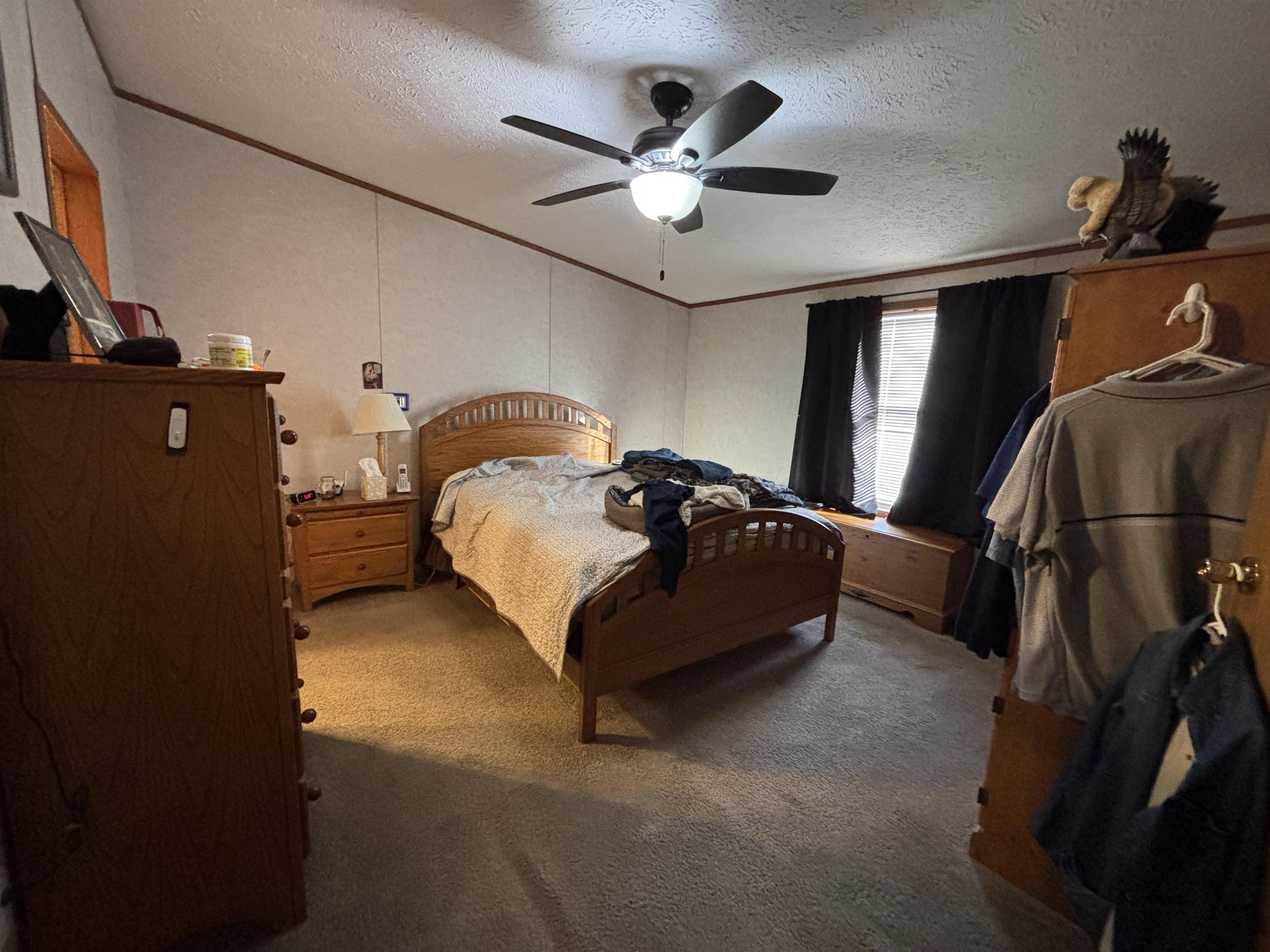 2171 Oakridge Drive, Farwell, MI, 48622