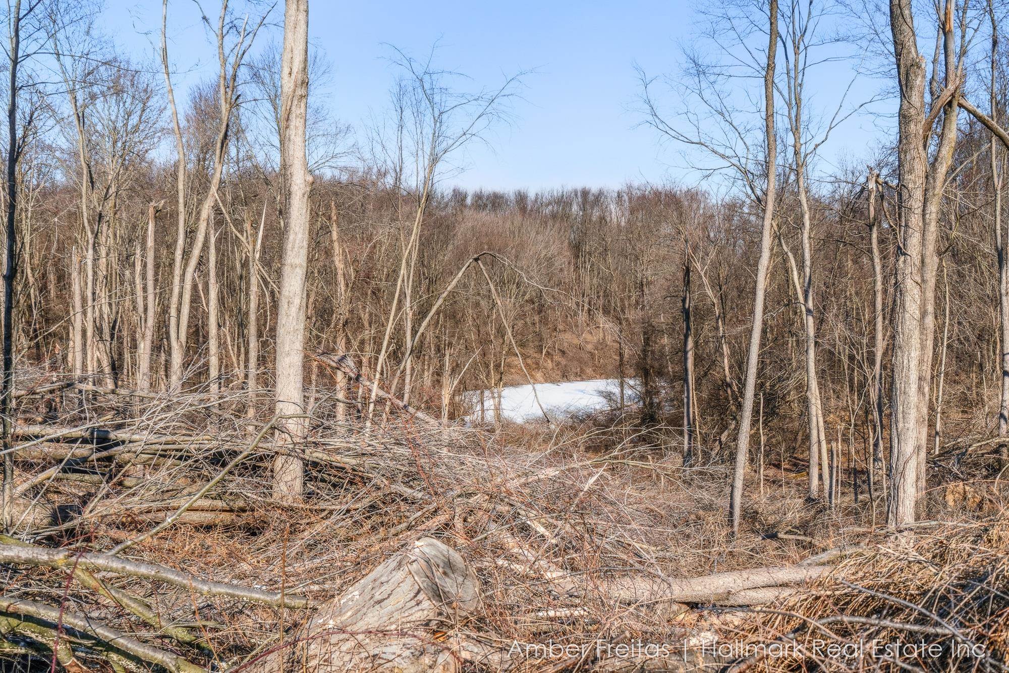 21125 Swafford Rd Road, Battle Creek, MI, 49017