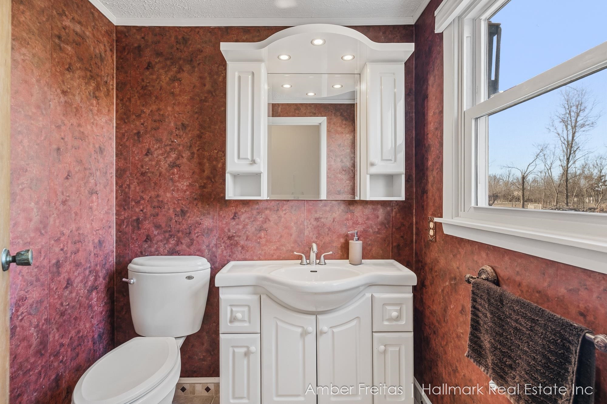 21125 Swafford Rd Road, Battle Creek, MI, 49017