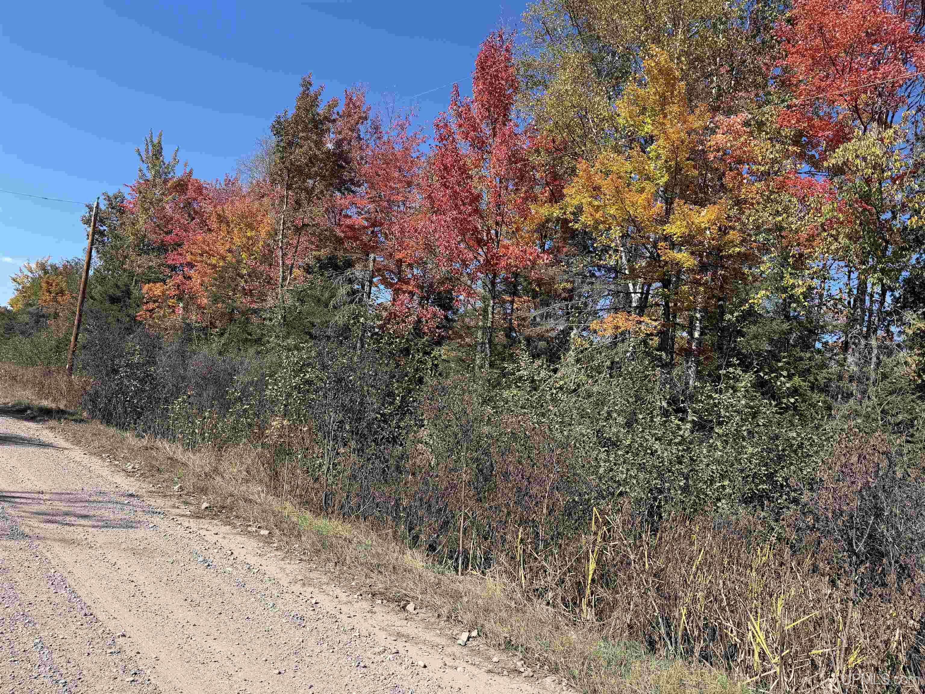 Photo 3 of Land for sale at Tbd 18 Road, Republic, MI 49879 | MLS# 50199879 | Listing updated on 2026-09-28