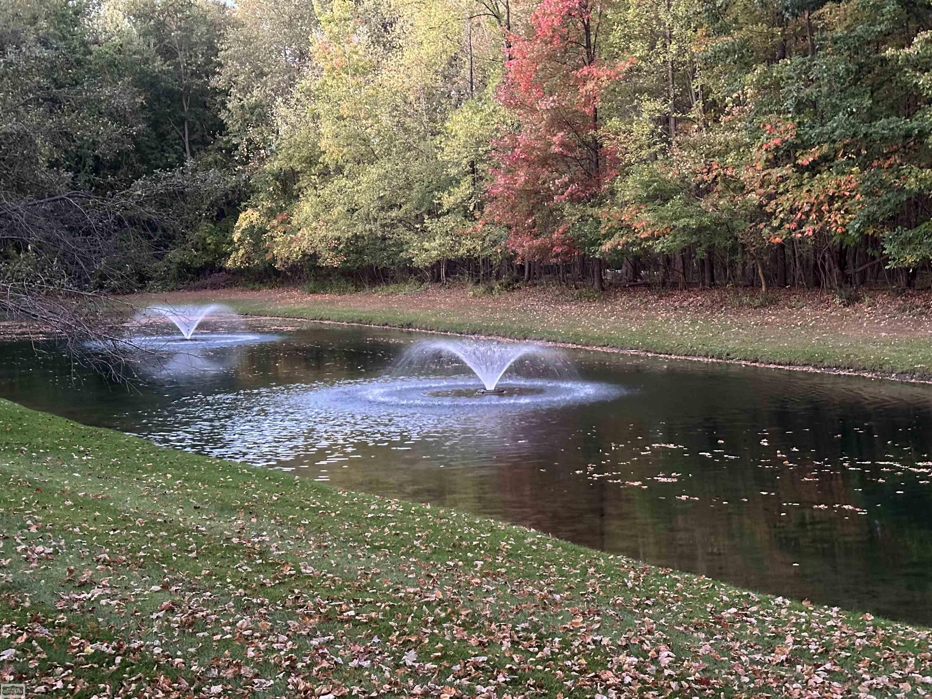 Shelby Twp, MI, 48316