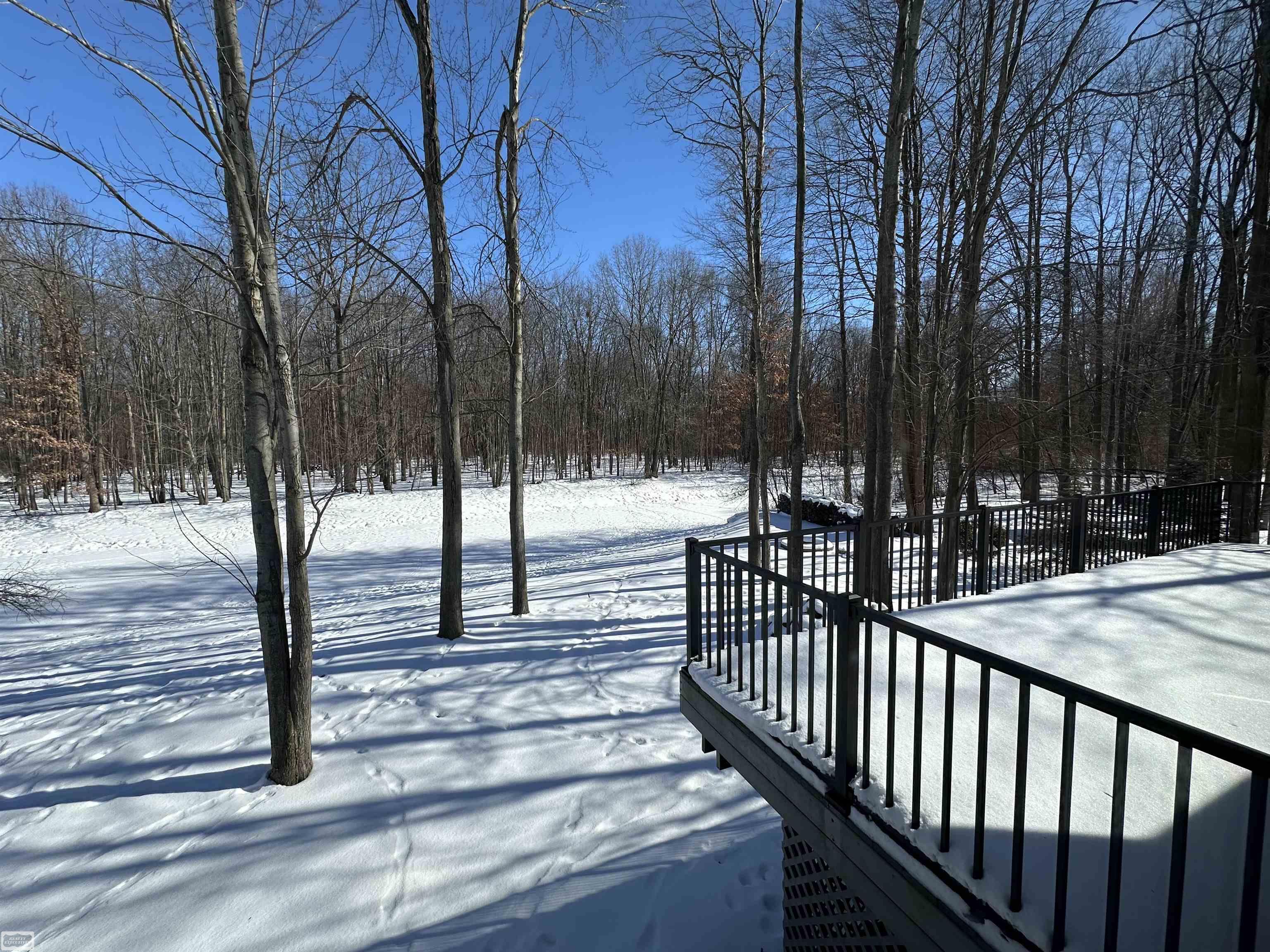 Shelby Twp, MI, 48316