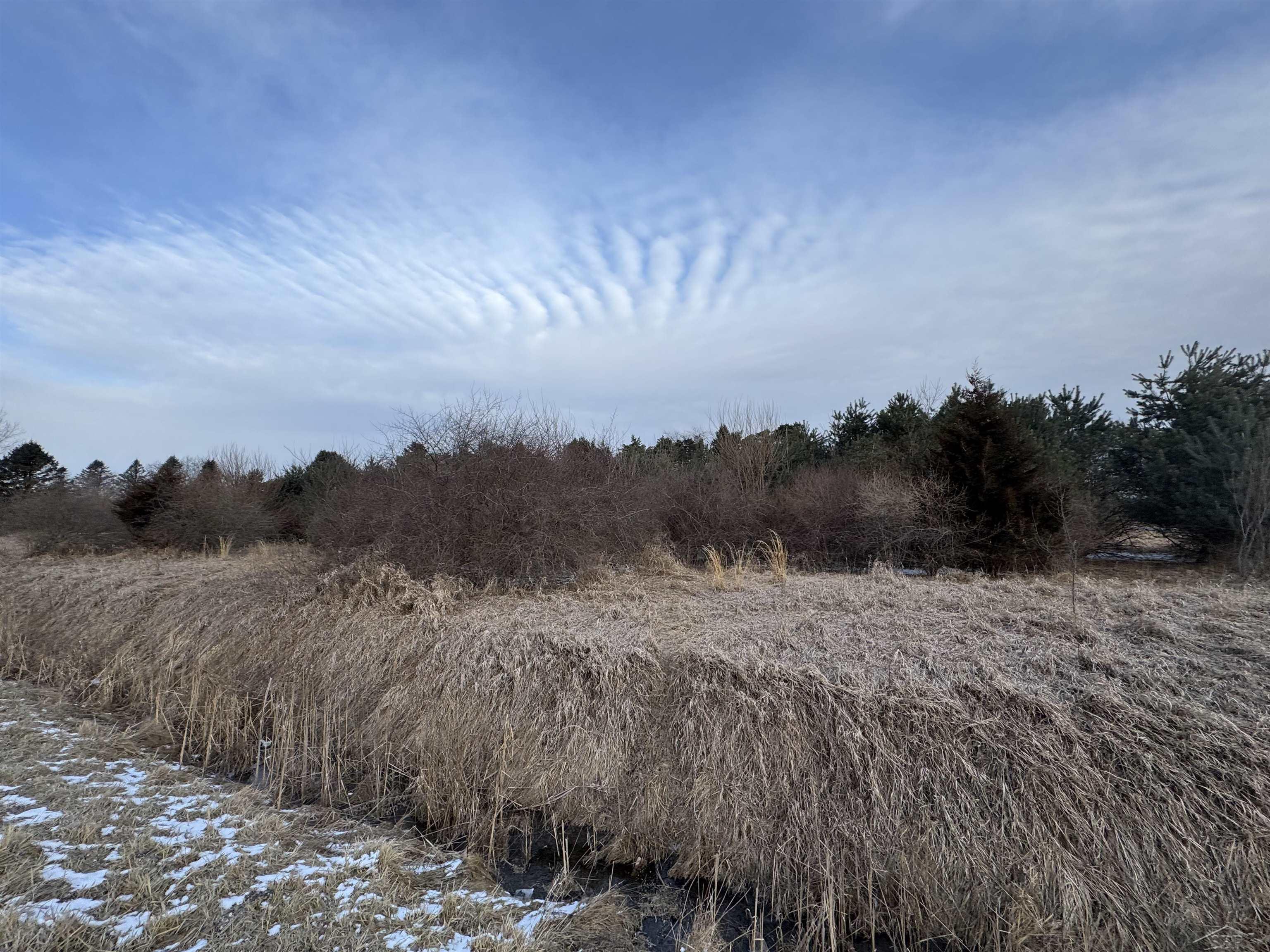 Chesaning, MI, 48616