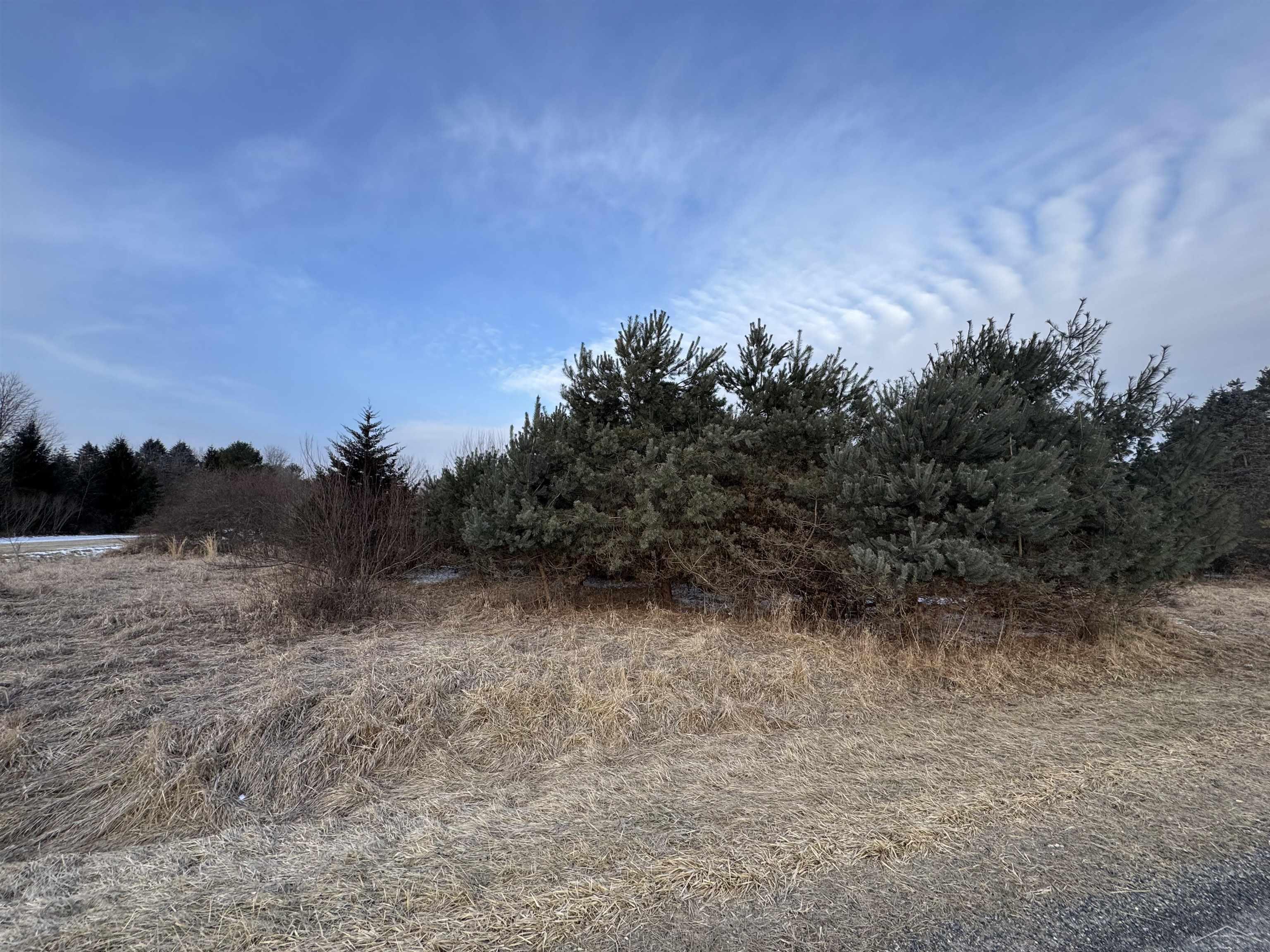 Chesaning, MI, 48616