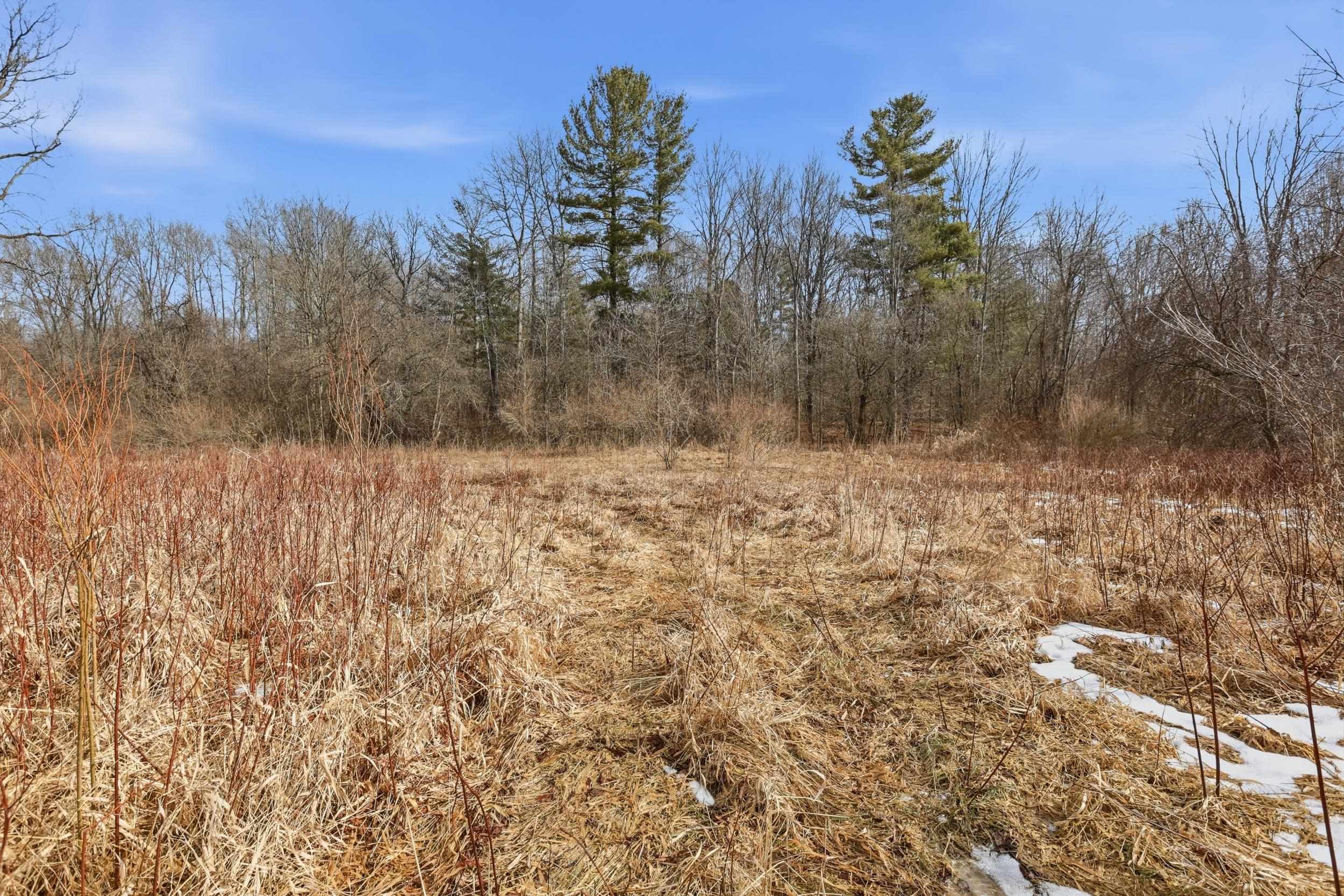 VL S Chapin Road, Elsie, MI, 48831