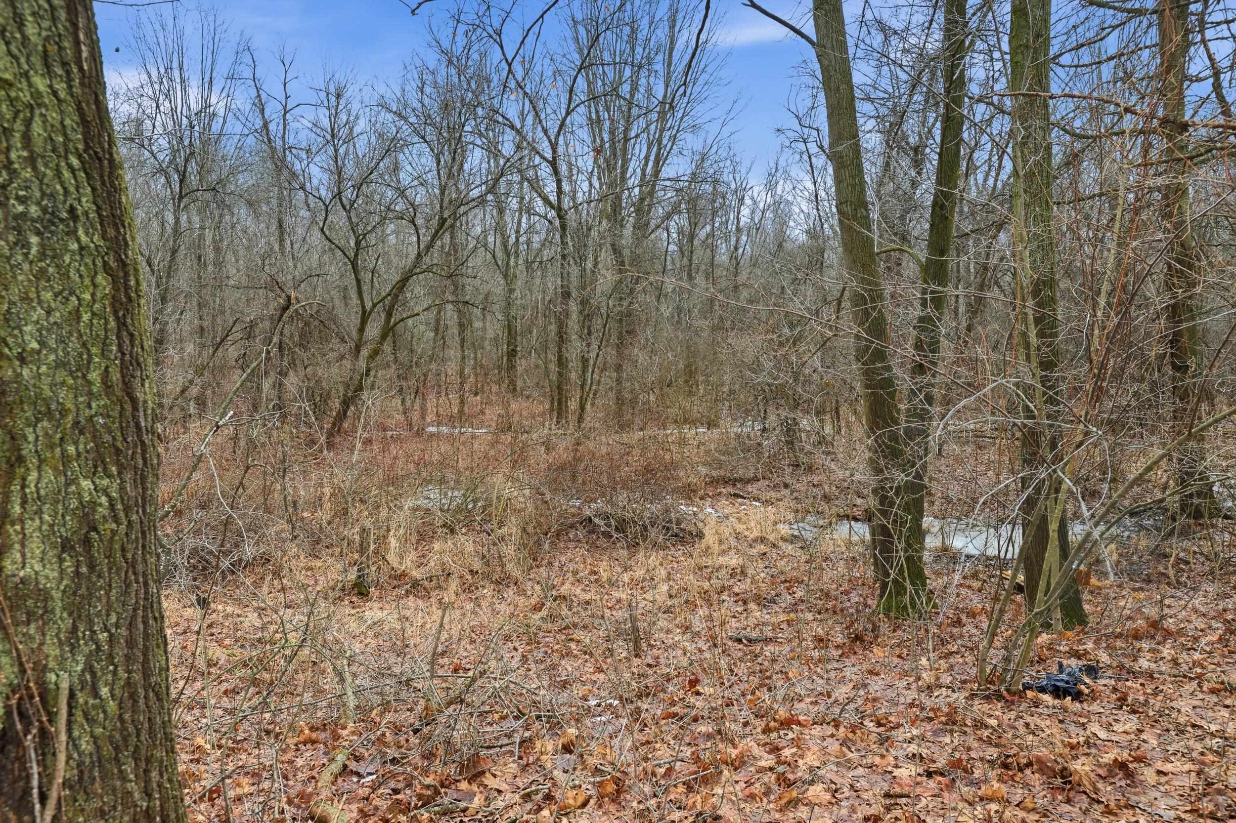 VL S Chapin Road, Elsie, MI, 48831