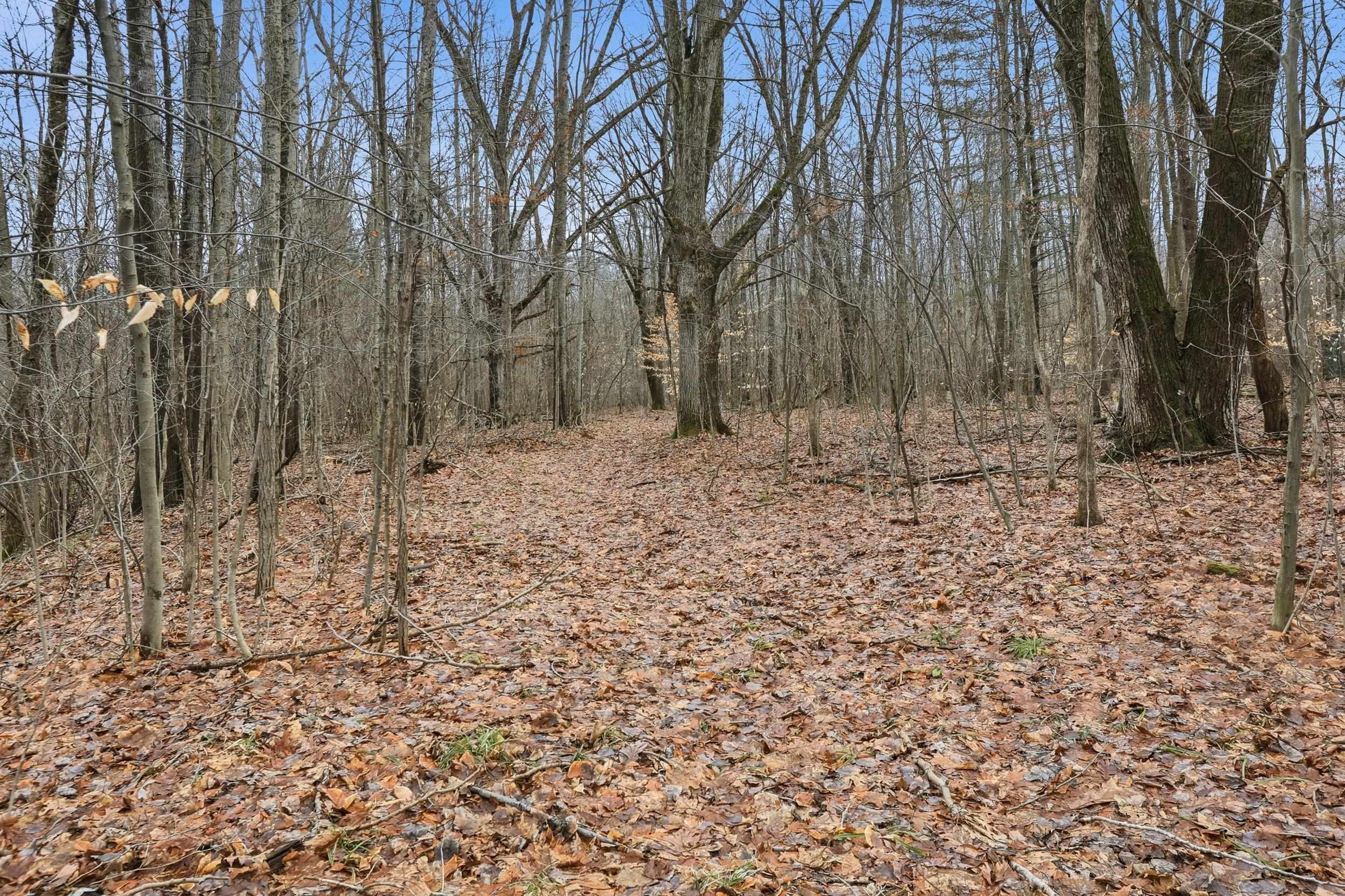 VL S Chapin Road, Elsie, MI, 48831