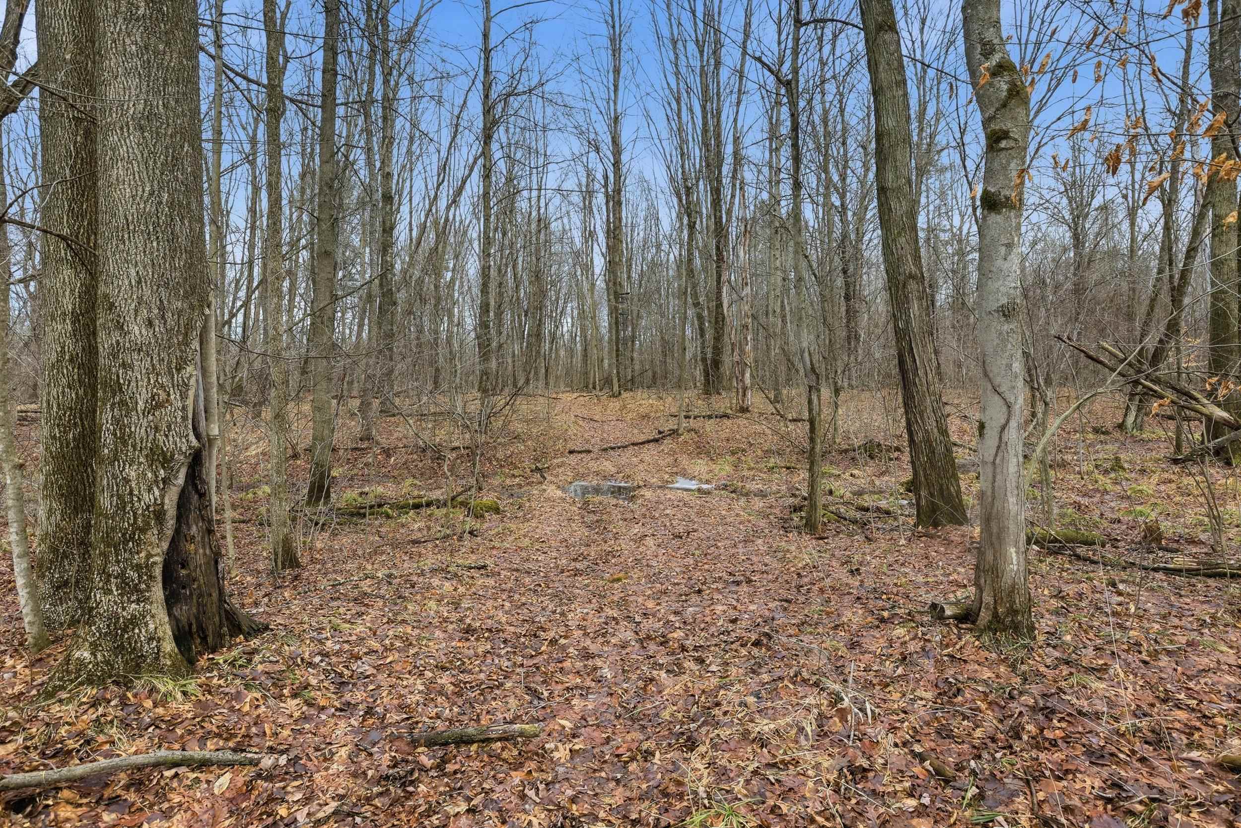 VL S Chapin Road, Elsie, MI, 48831