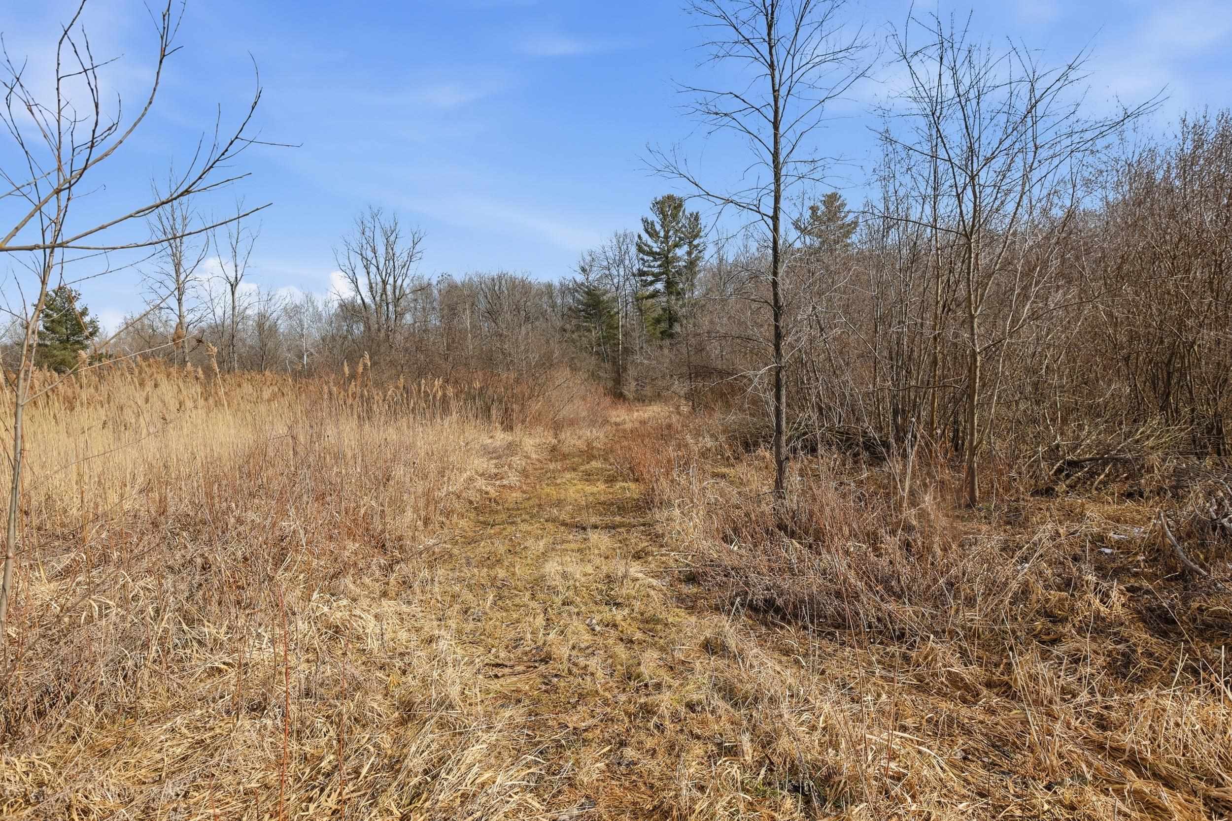 VL S Chapin Road, Elsie, MI, 48831