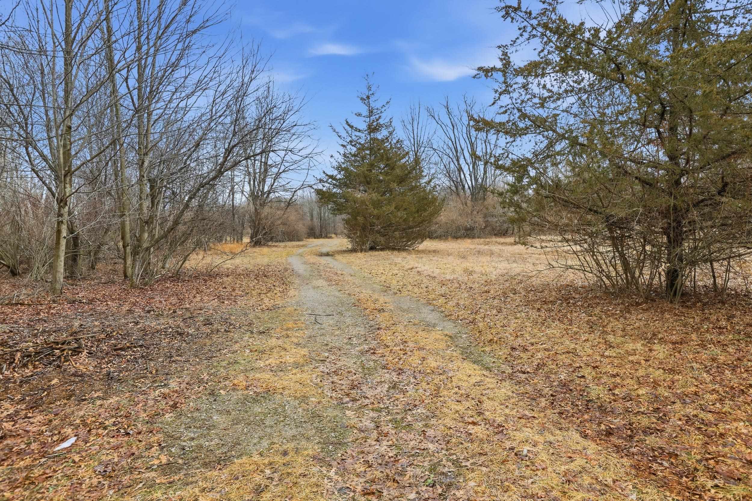 VL S Chapin Road, Elsie, MI, 48831