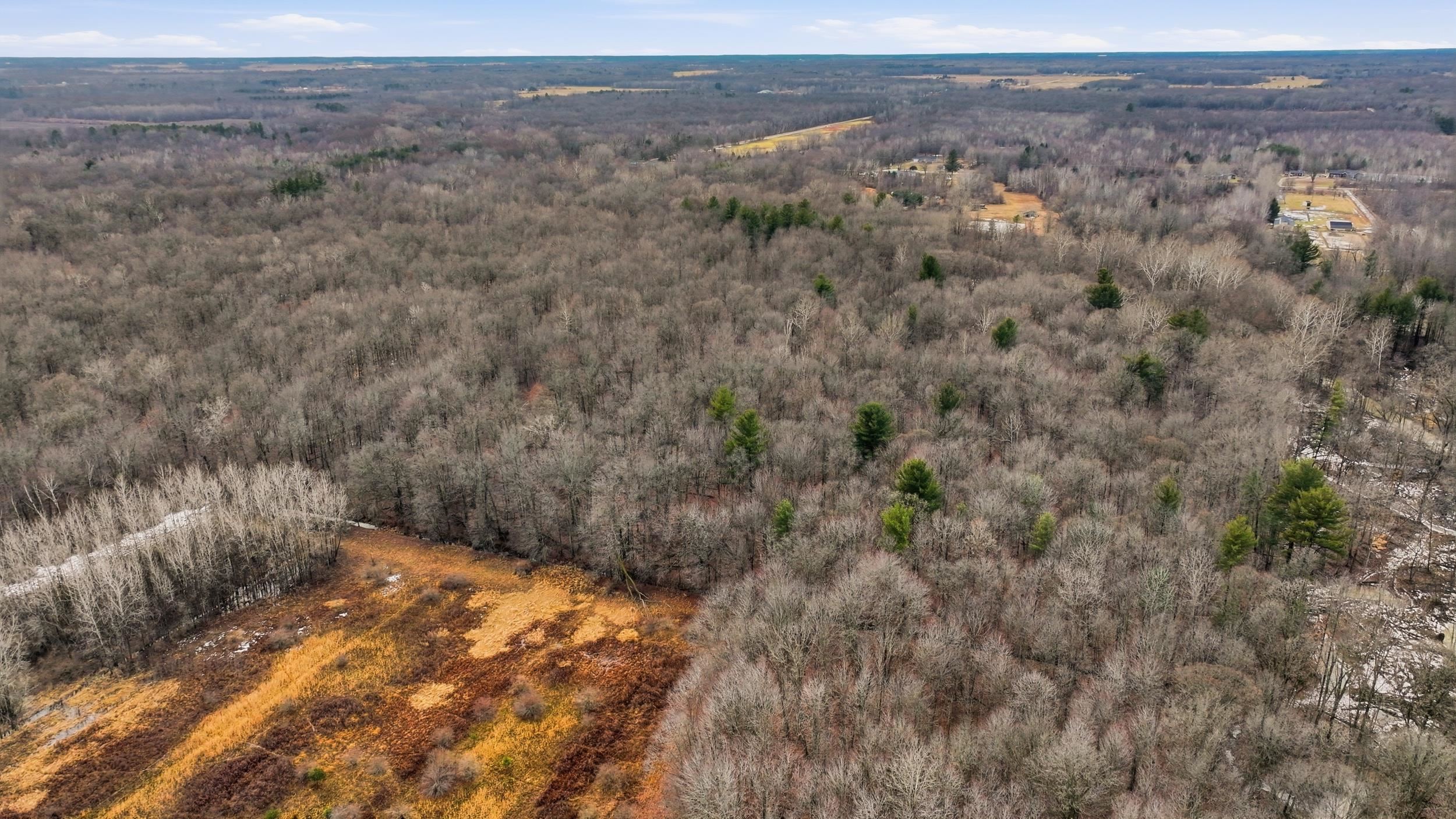 VL S Chapin Road, Elsie, MI, 48831