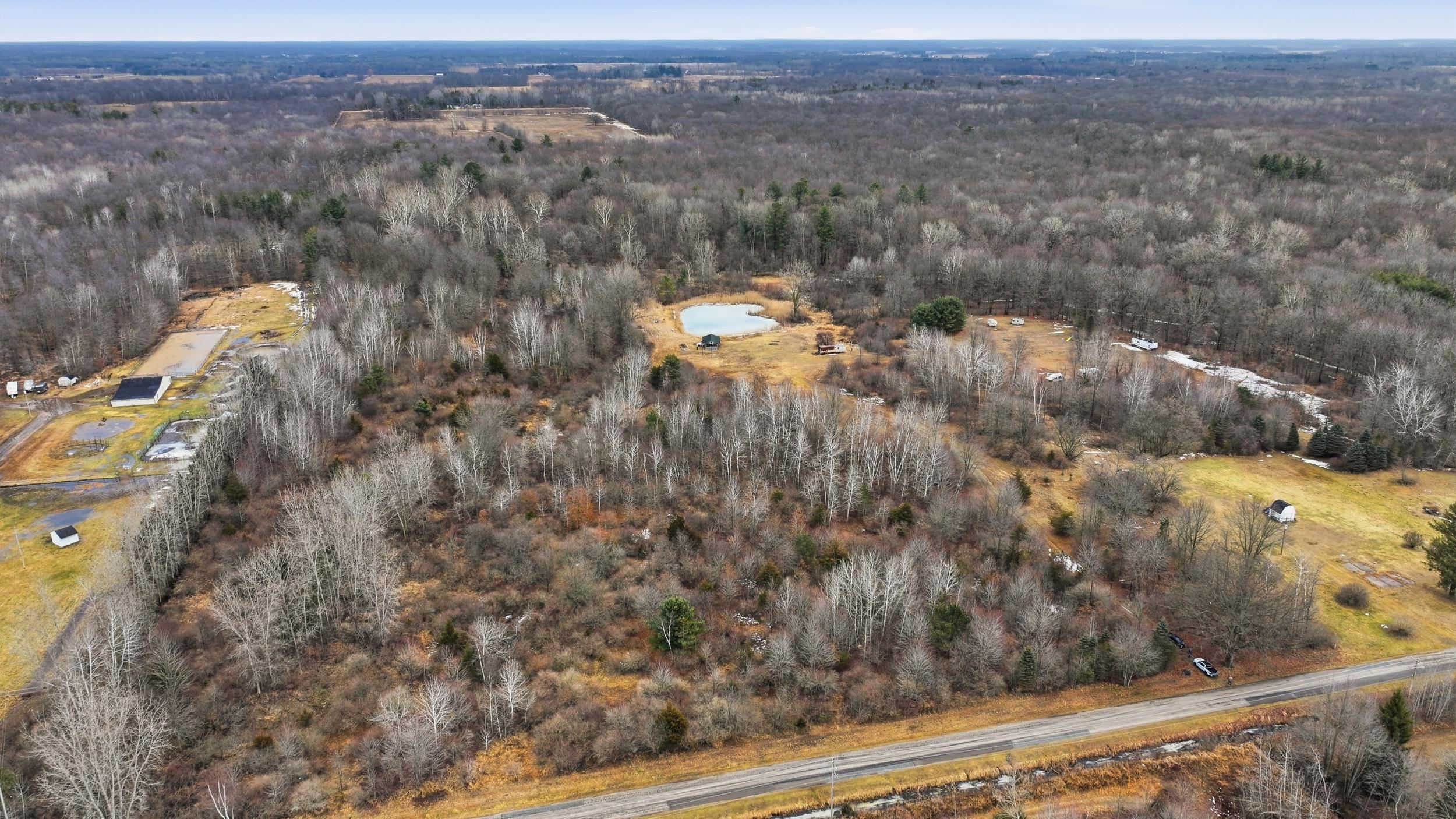 VL S Chapin Road, Elsie, MI, 48831