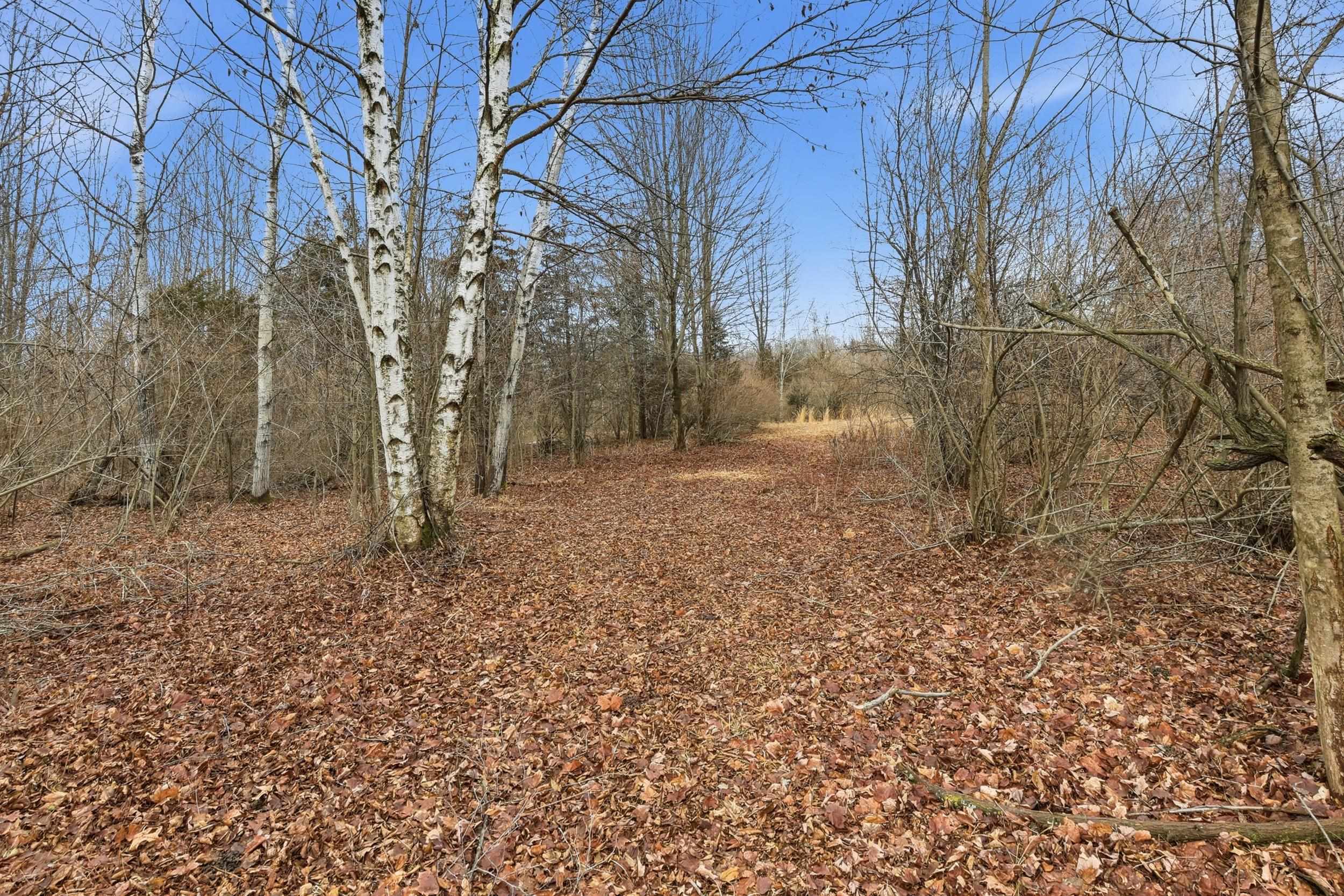 VL S Chapin Road, Elsie, MI, 48831