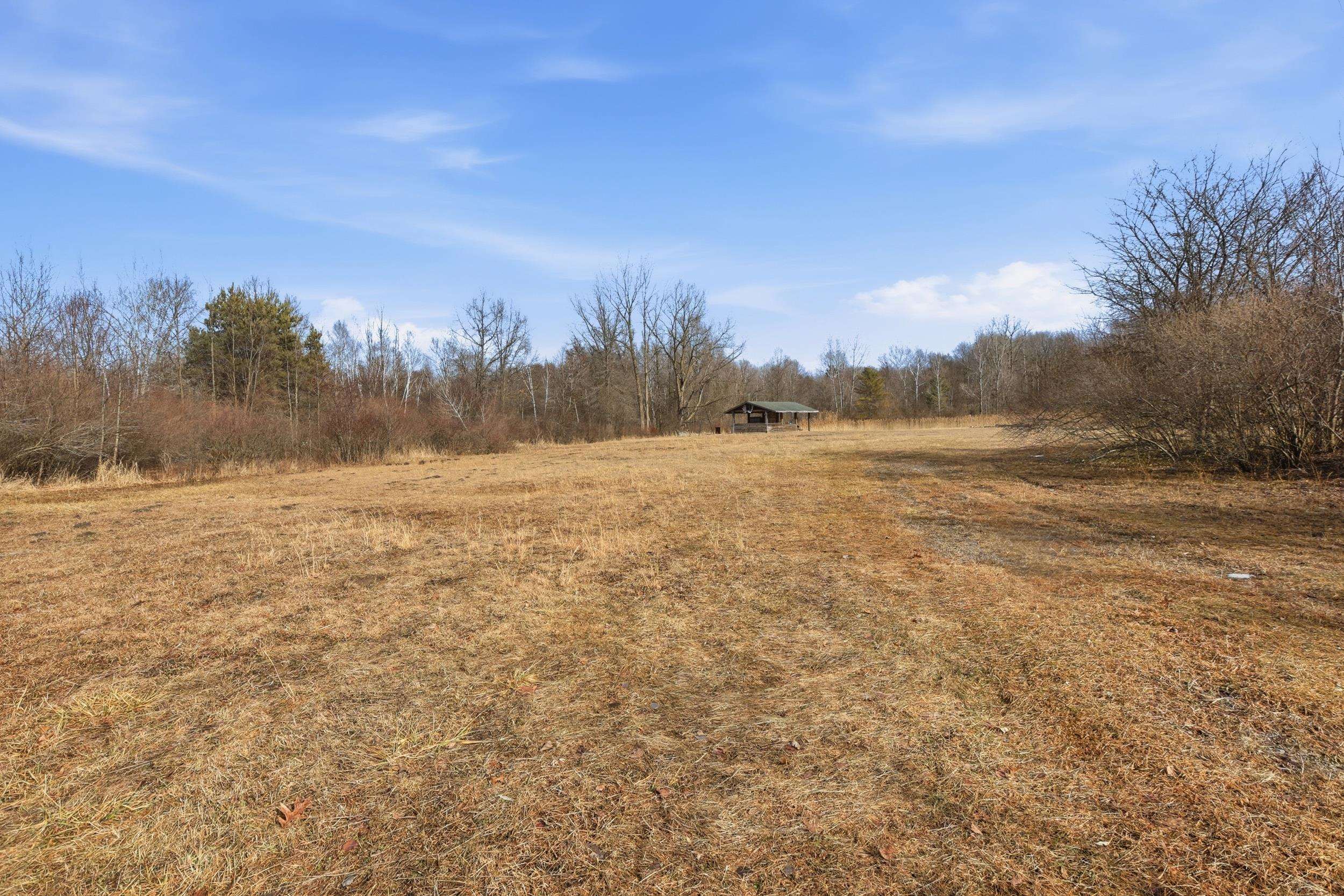 VL S Chapin Road, Elsie, MI, 48831
