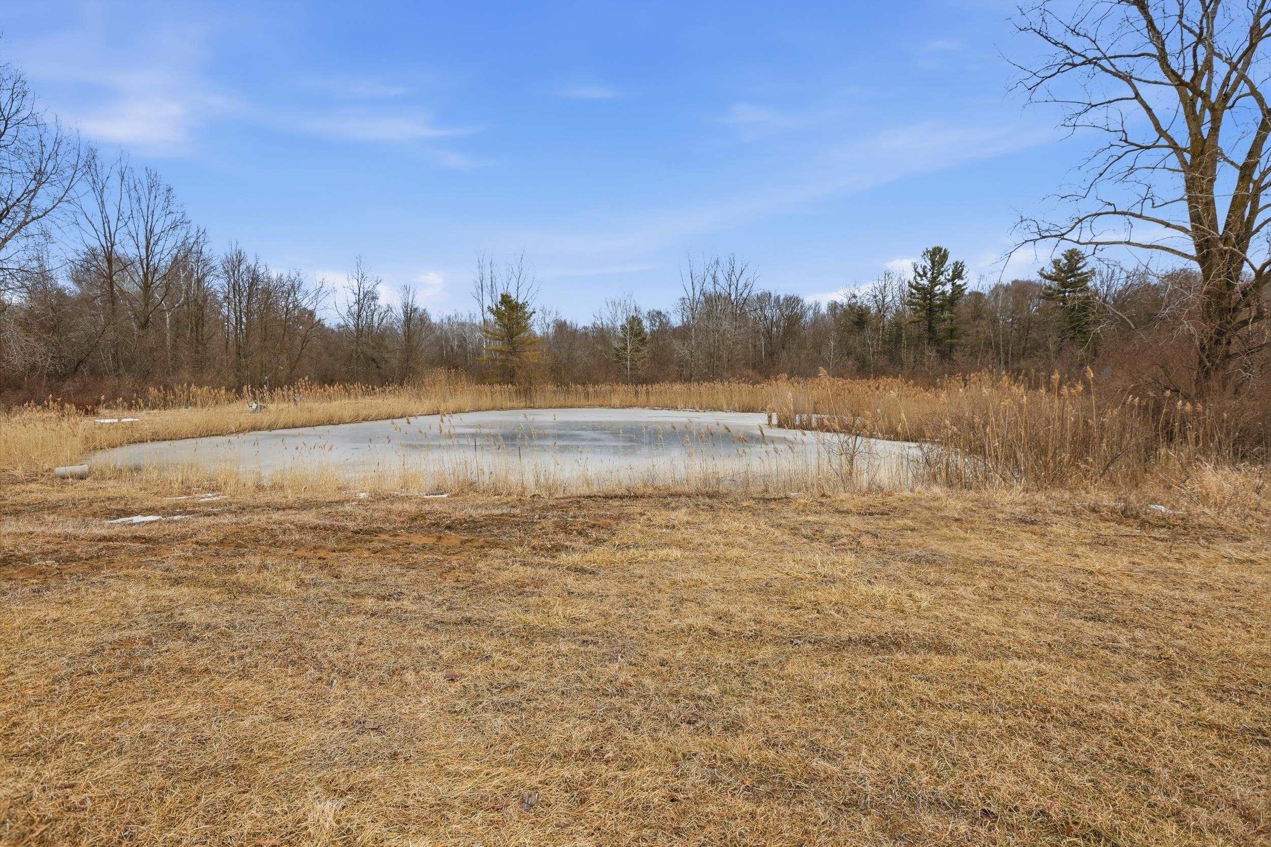 VL S Chapin Road, Elsie, MI, 48831