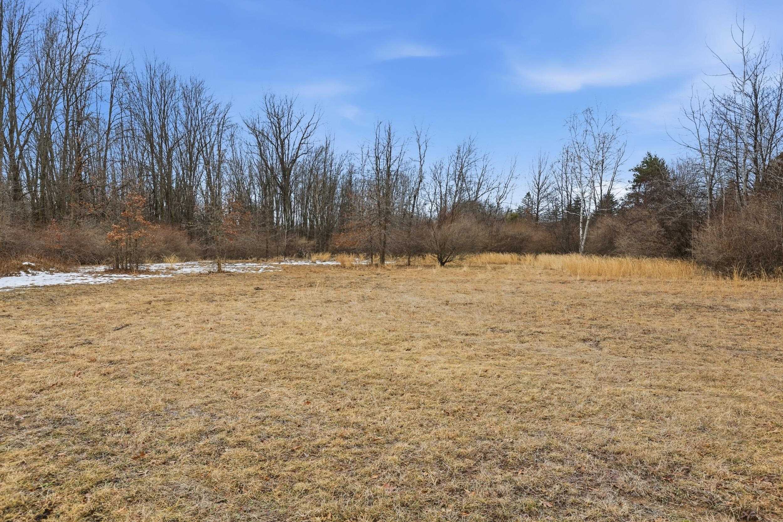 VL S Chapin Road, Elsie, MI, 48831