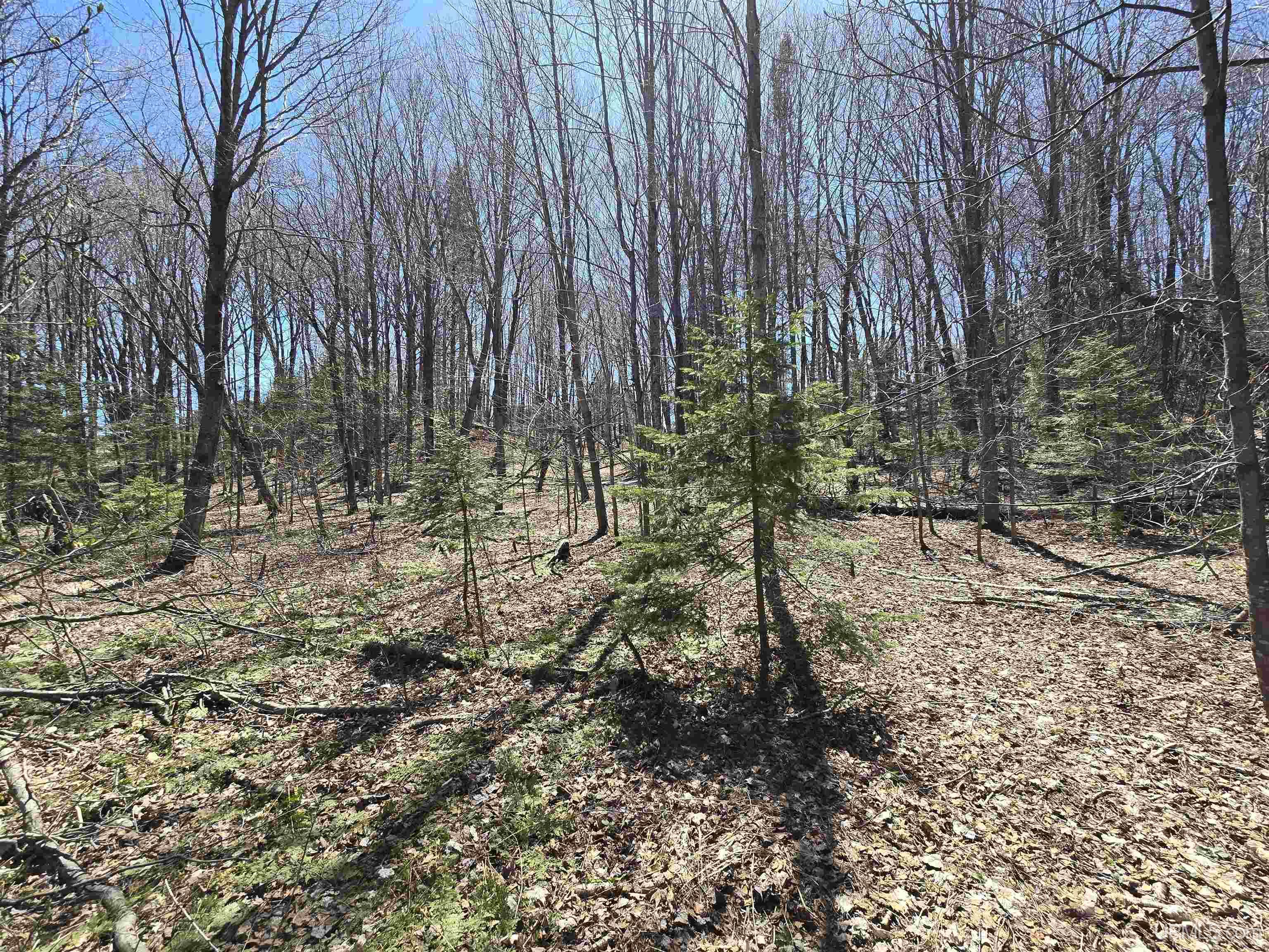 MLS 50199979 Large photo number 55 