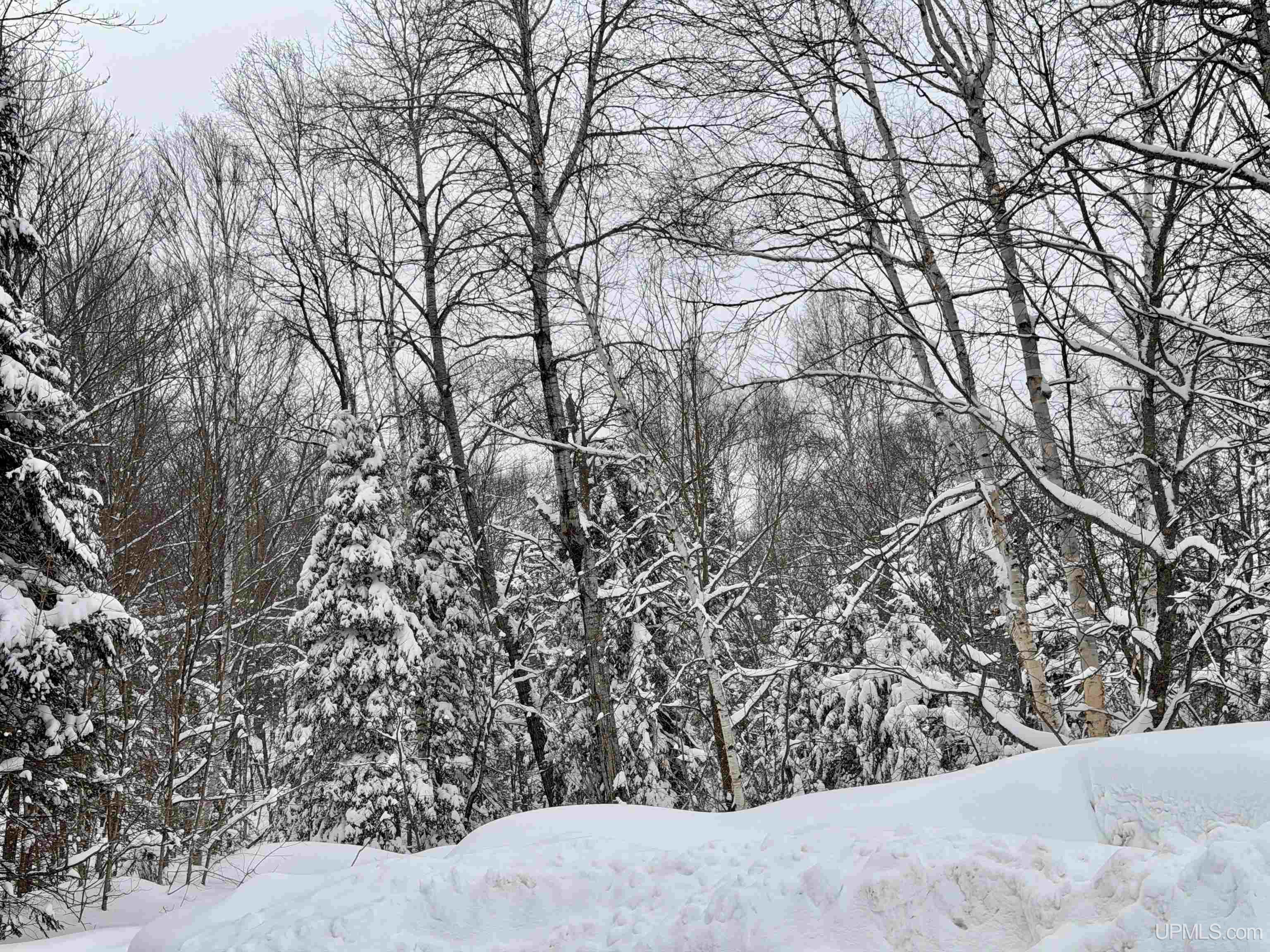 TBD E Wilderness Road, Negaunee, MI, 49866