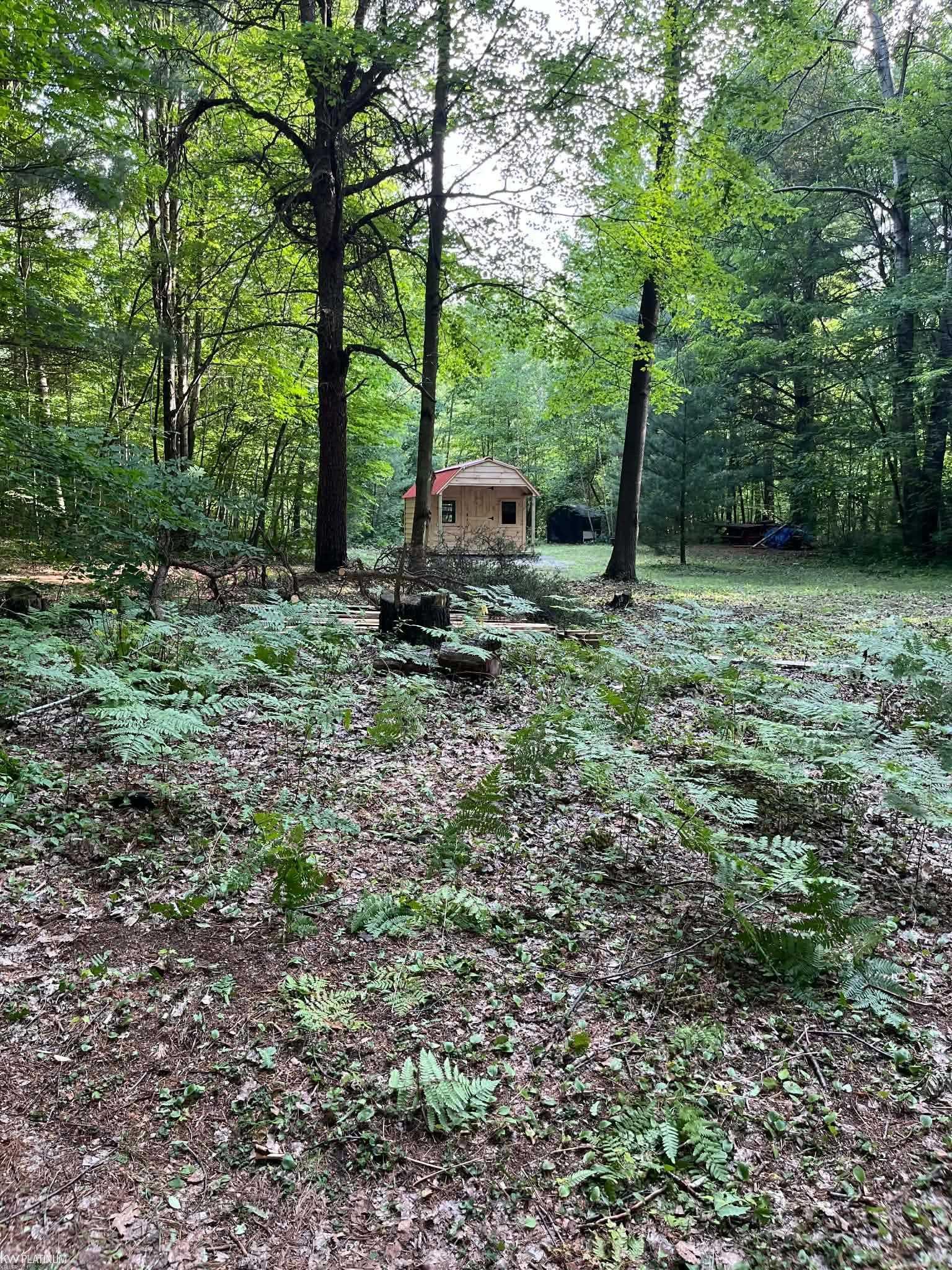 Photo 3 of Land for sale at 4123 Waterman Rd, Vassar, MI 48768 | MLS# 58050200052 | Listing updated on 2026-09-18
