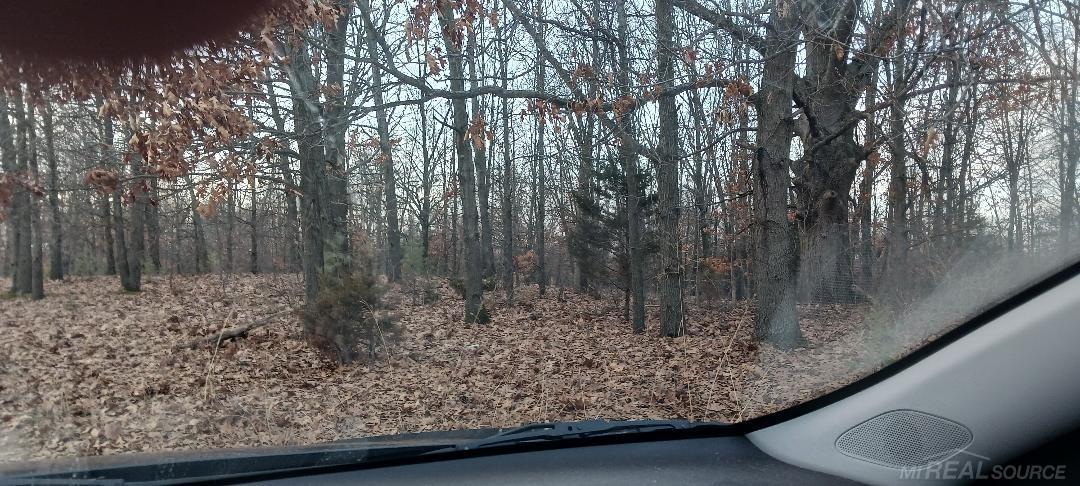 87573 County Road 668 photo 3