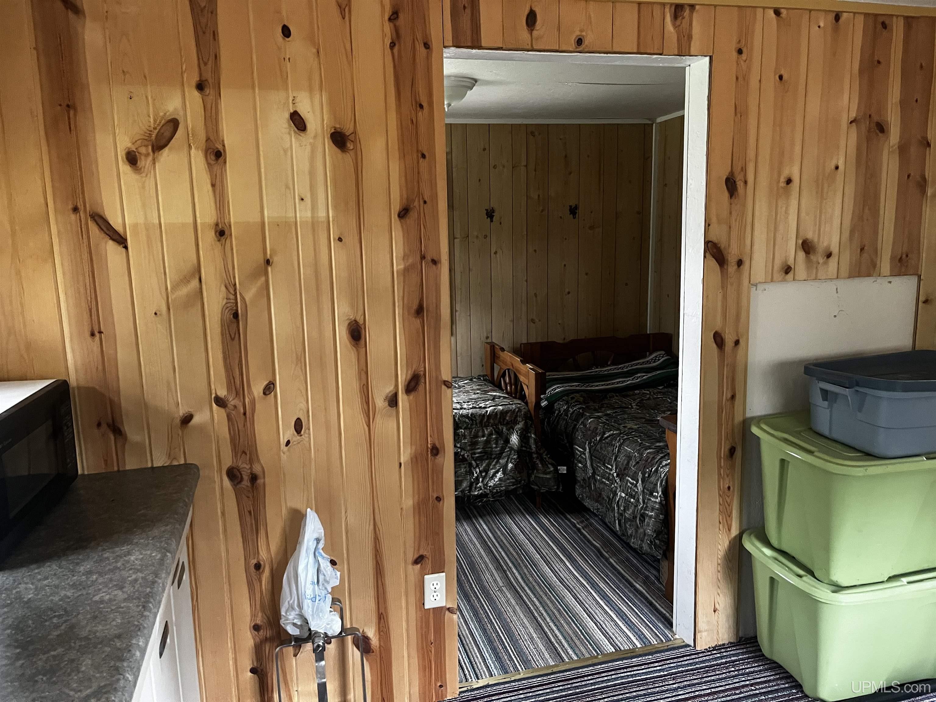 E 3946 Storm Road, Chatham, MI, 49816