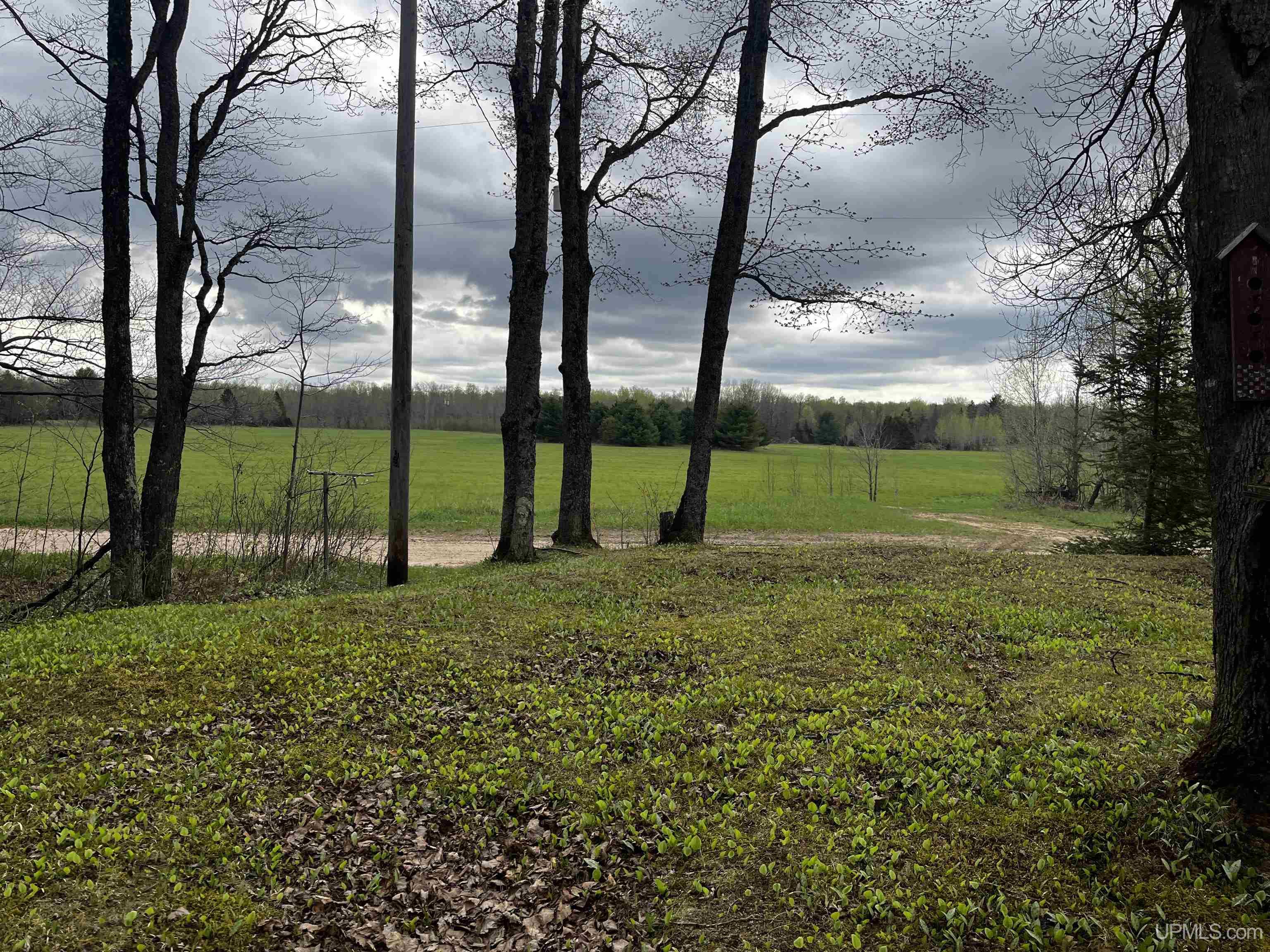 E 3946 Storm Road, Chatham, MI, 49816