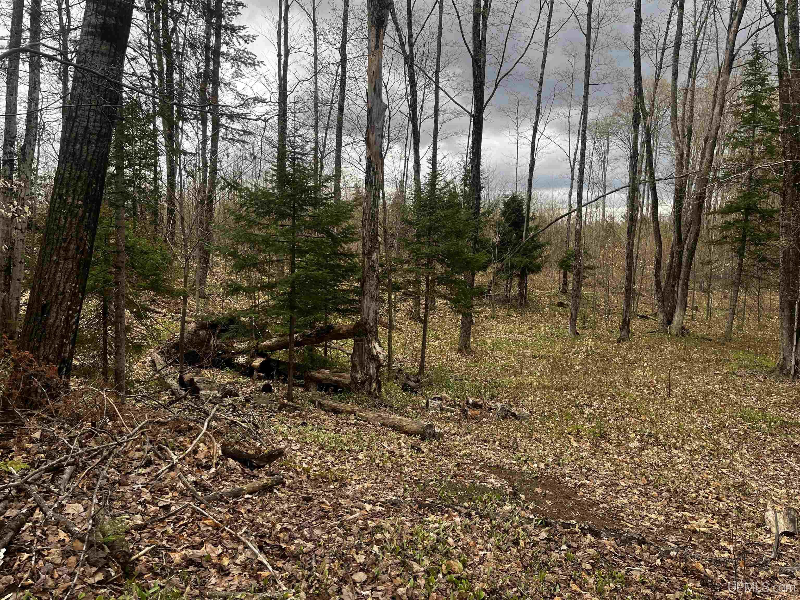 E 3946 Storm Road, Chatham, MI, 49816