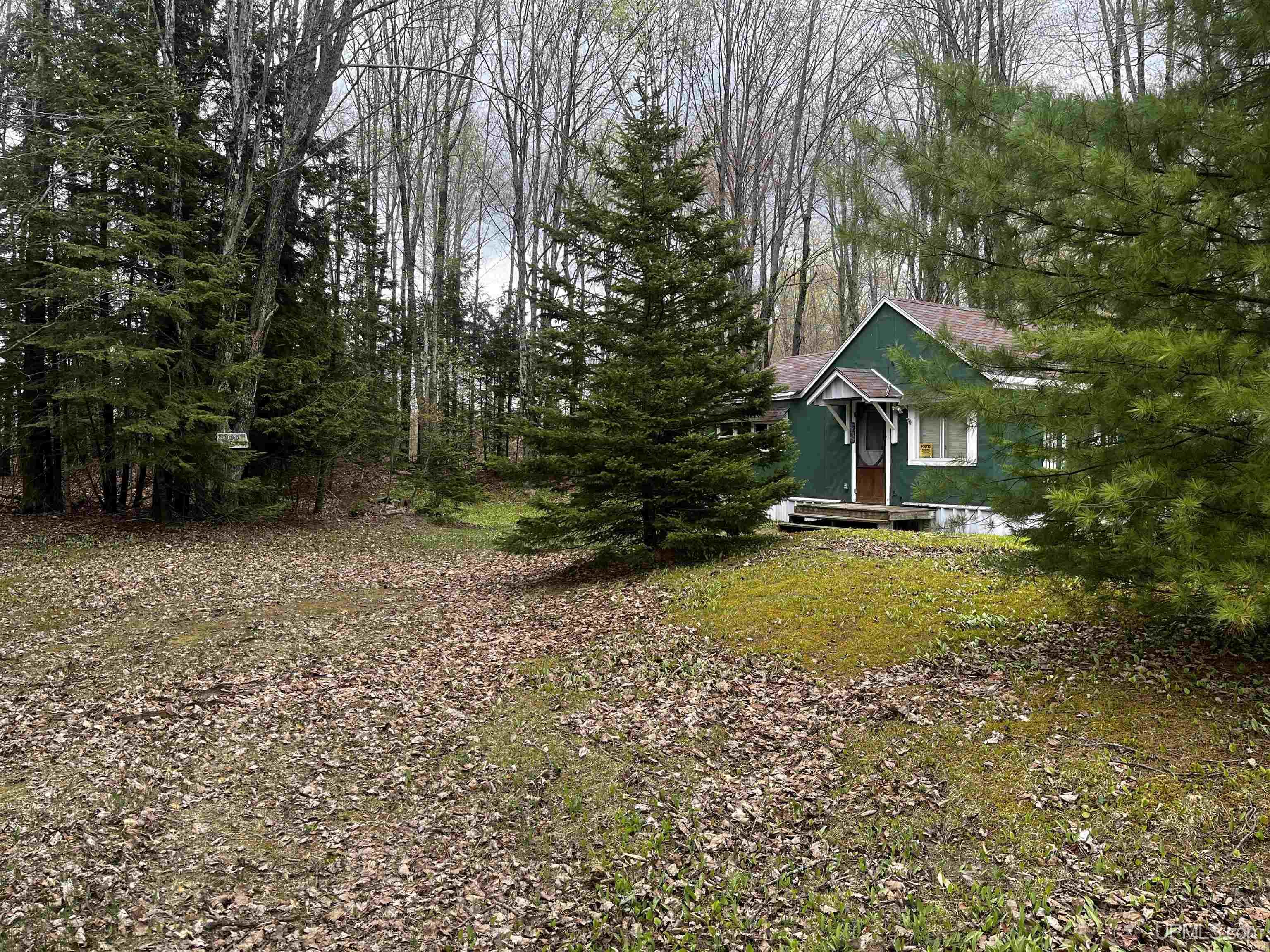 E 3946 Storm Road, Chatham, MI, 49816