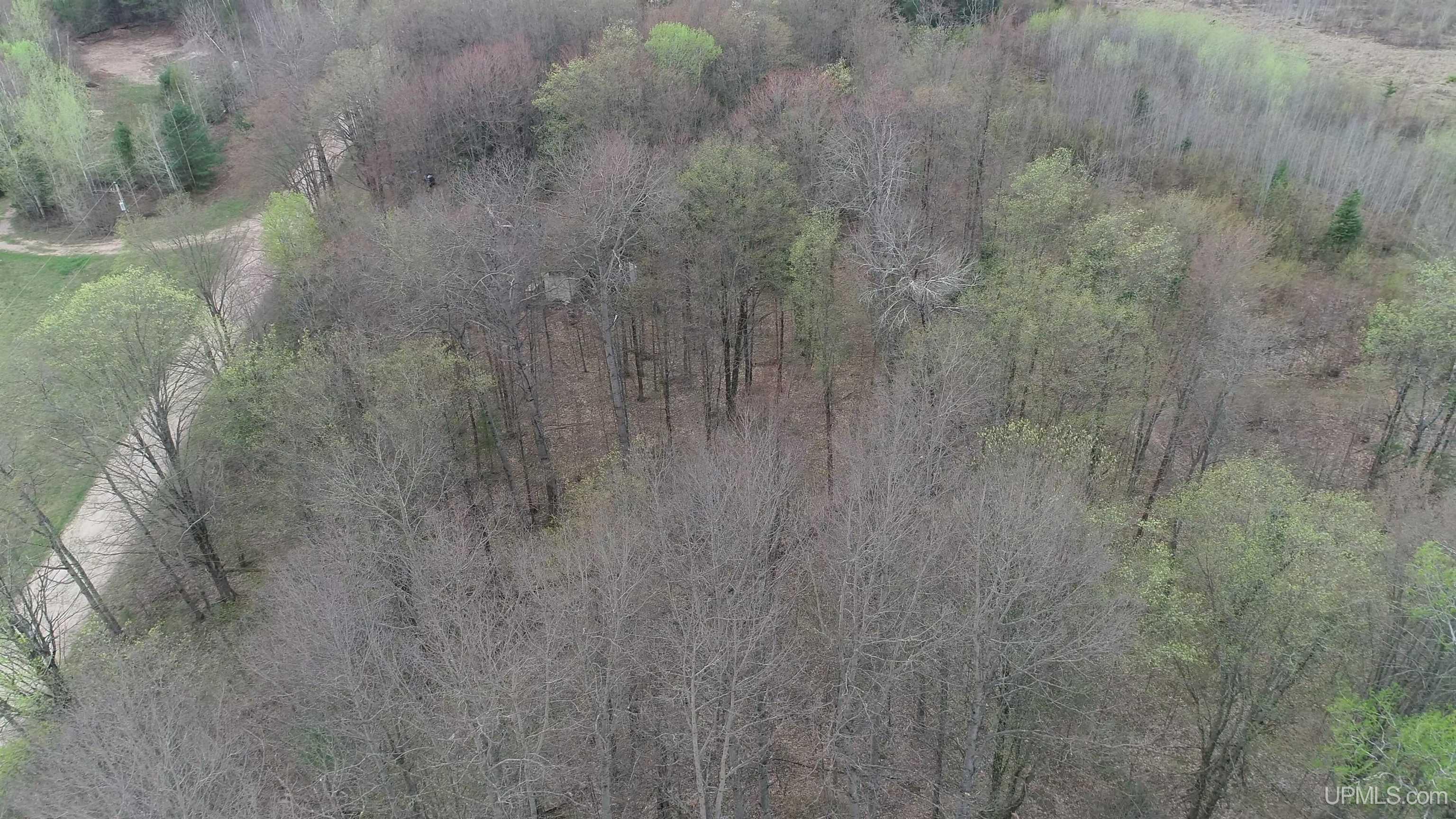 E 3946 Storm Road, Chatham, MI, 49816