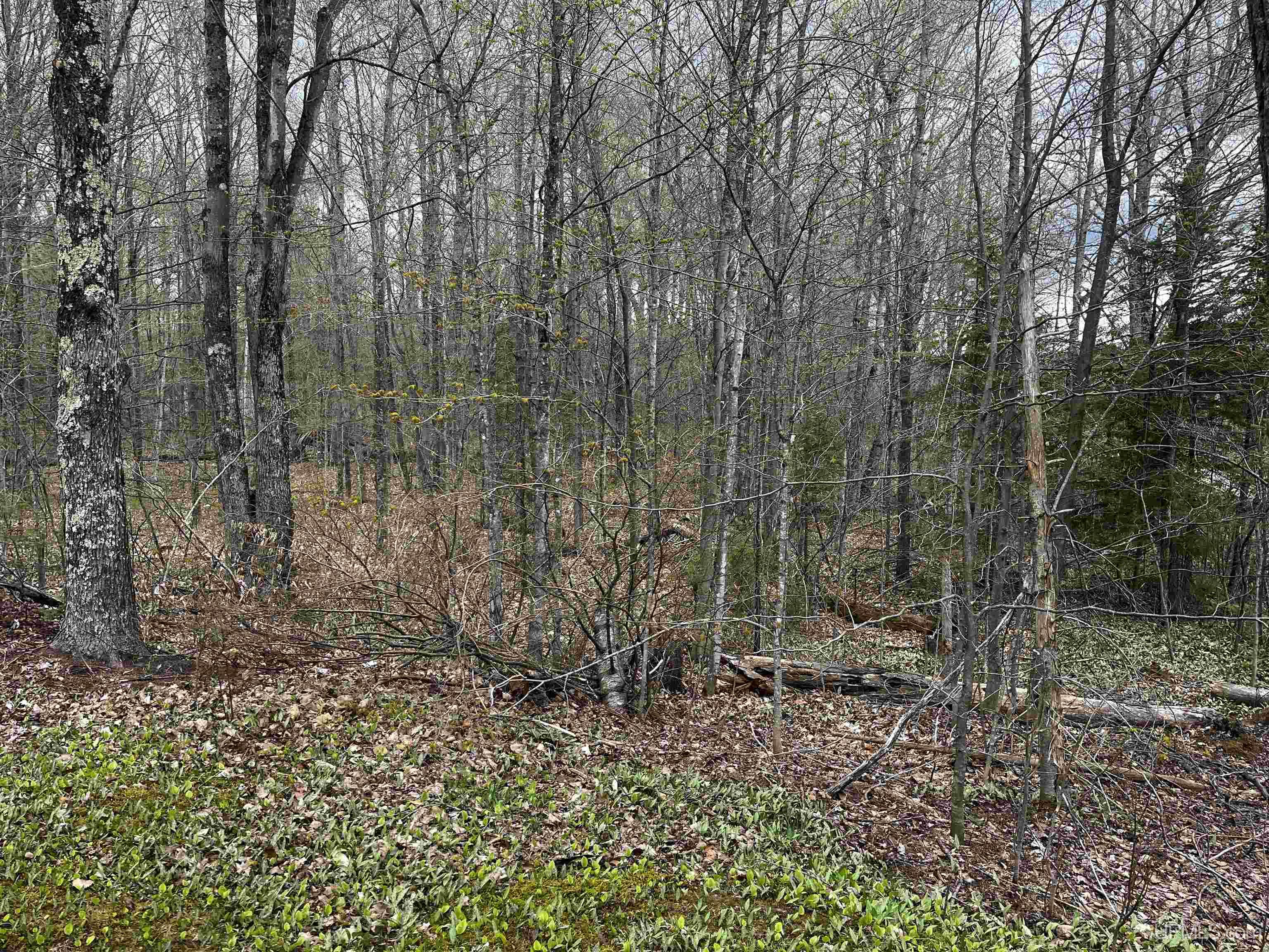 E 3946 Storm Road, Chatham, MI, 49816