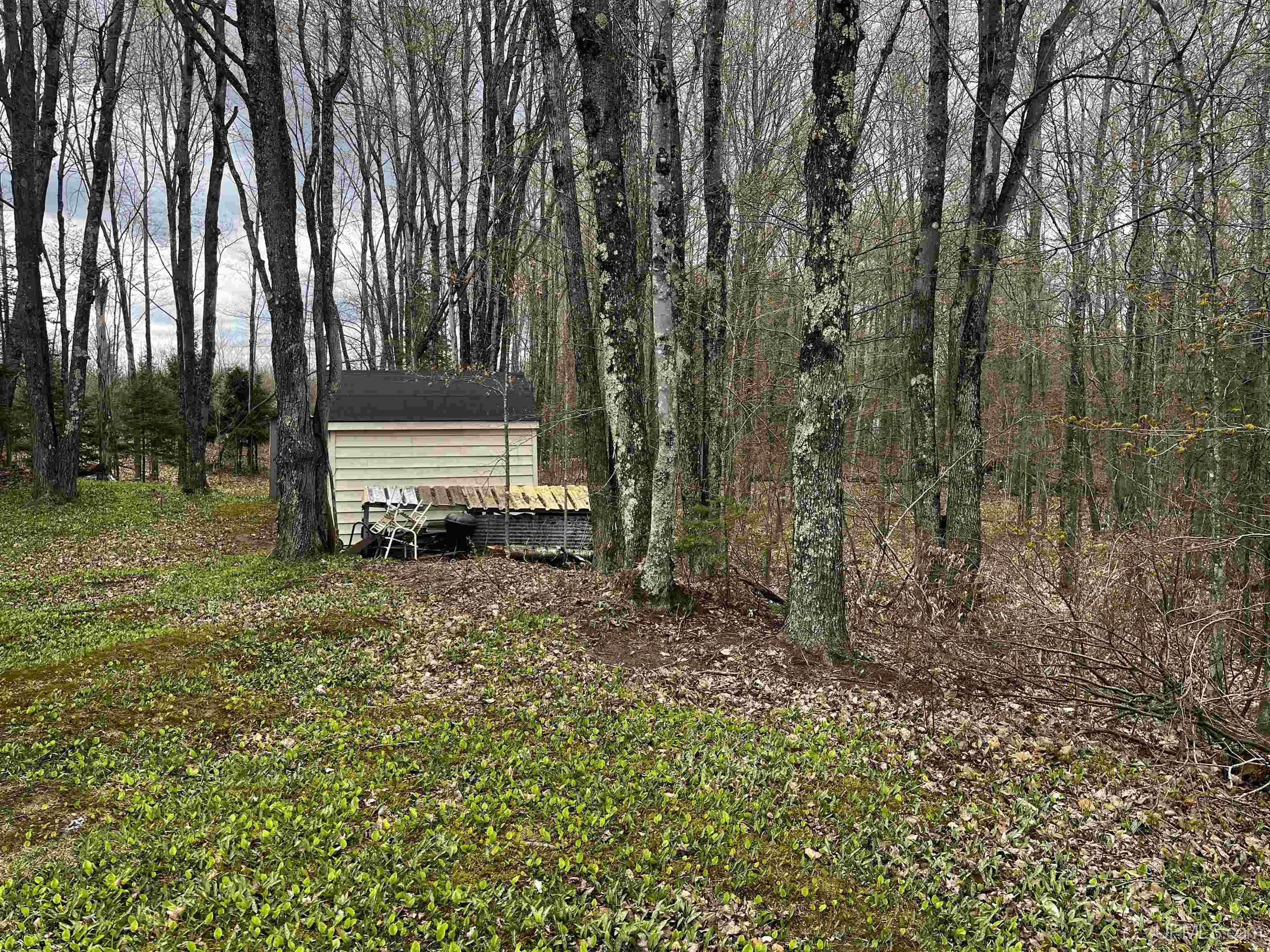 E 3946 Storm Road, Chatham, MI, 49816