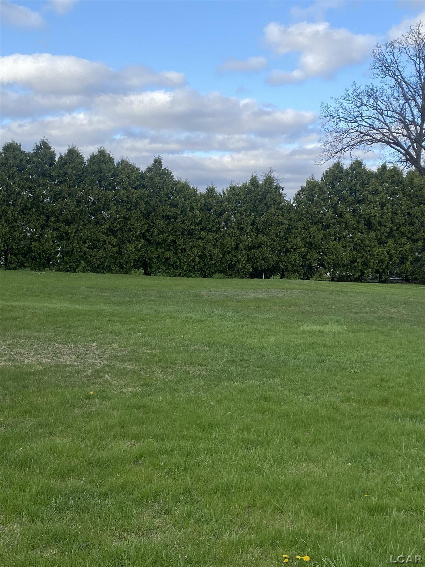 Photo of property for sale at 200 BLK Railroad Street, Blissfield MI 49228
