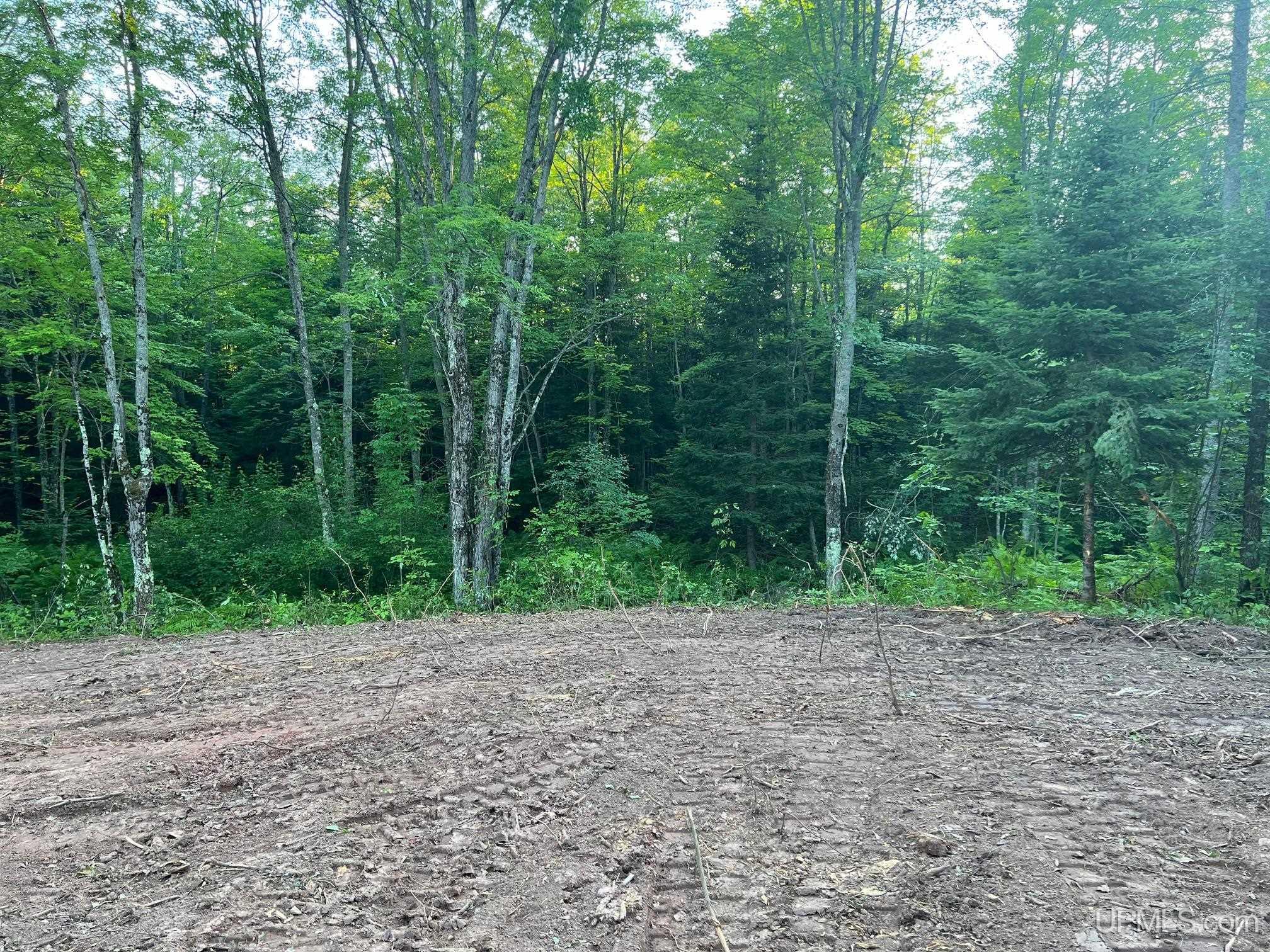 16130 Bellaire Road photo 11