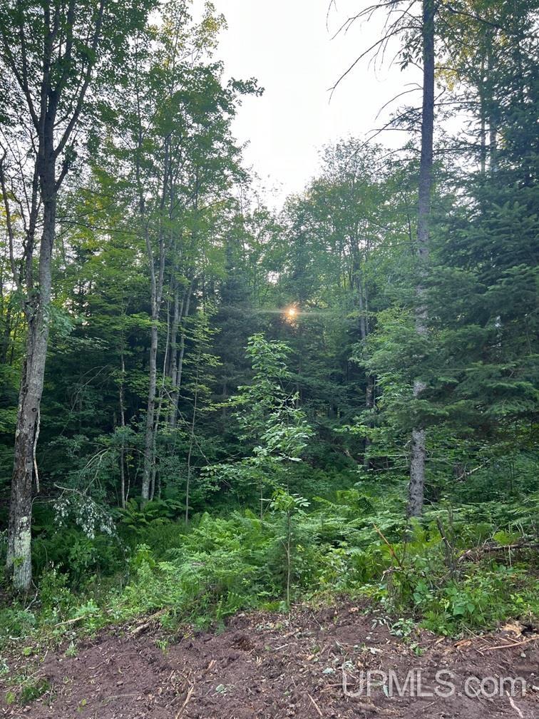16130 Bellaire Road photo 12