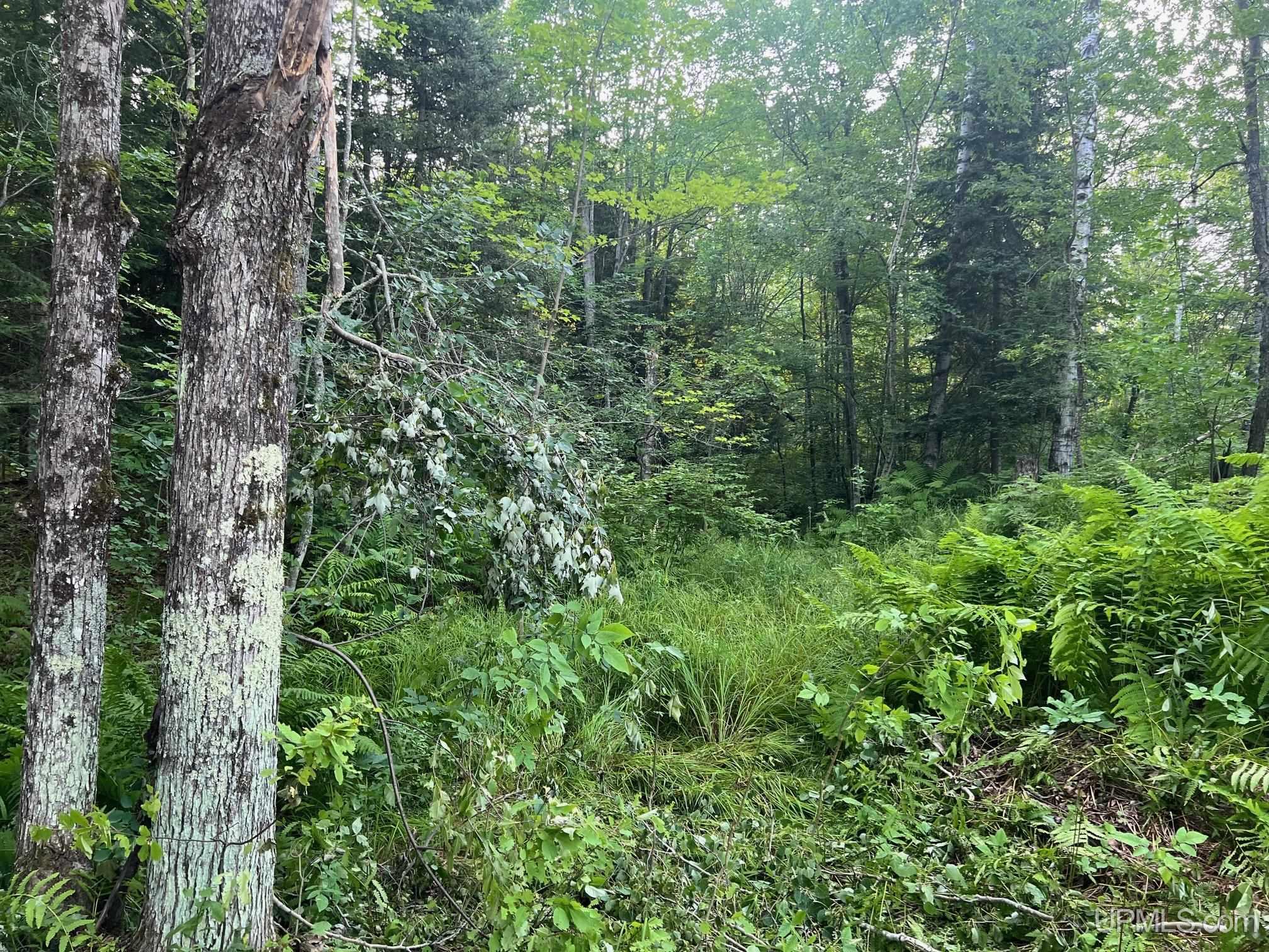 16130 Bellaire Road photo 14