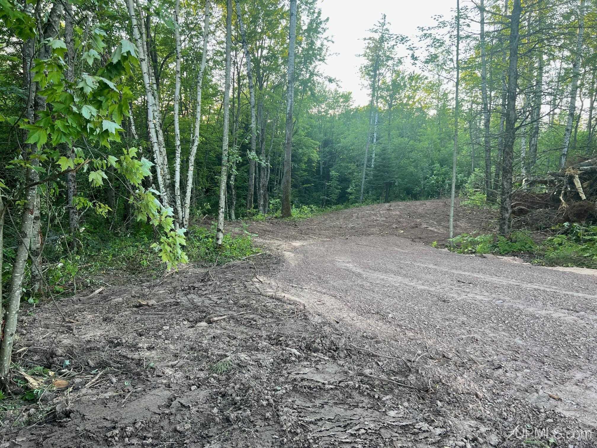 16130 Bellaire Road, Baraga, MI, 49908