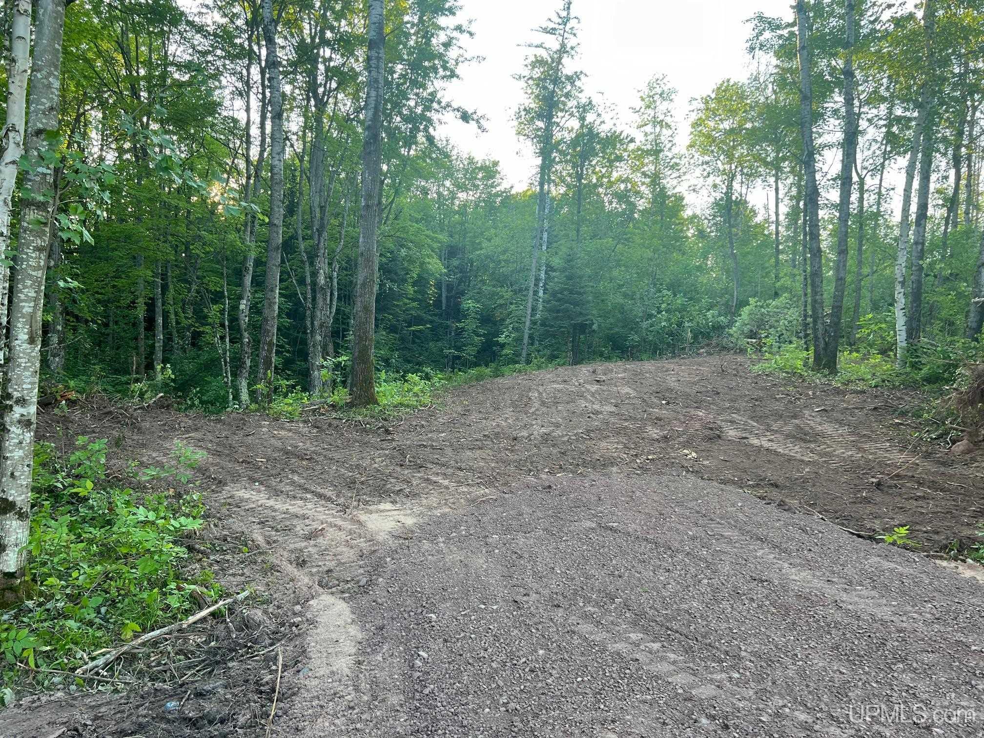 16130 Bellaire Road photo 7