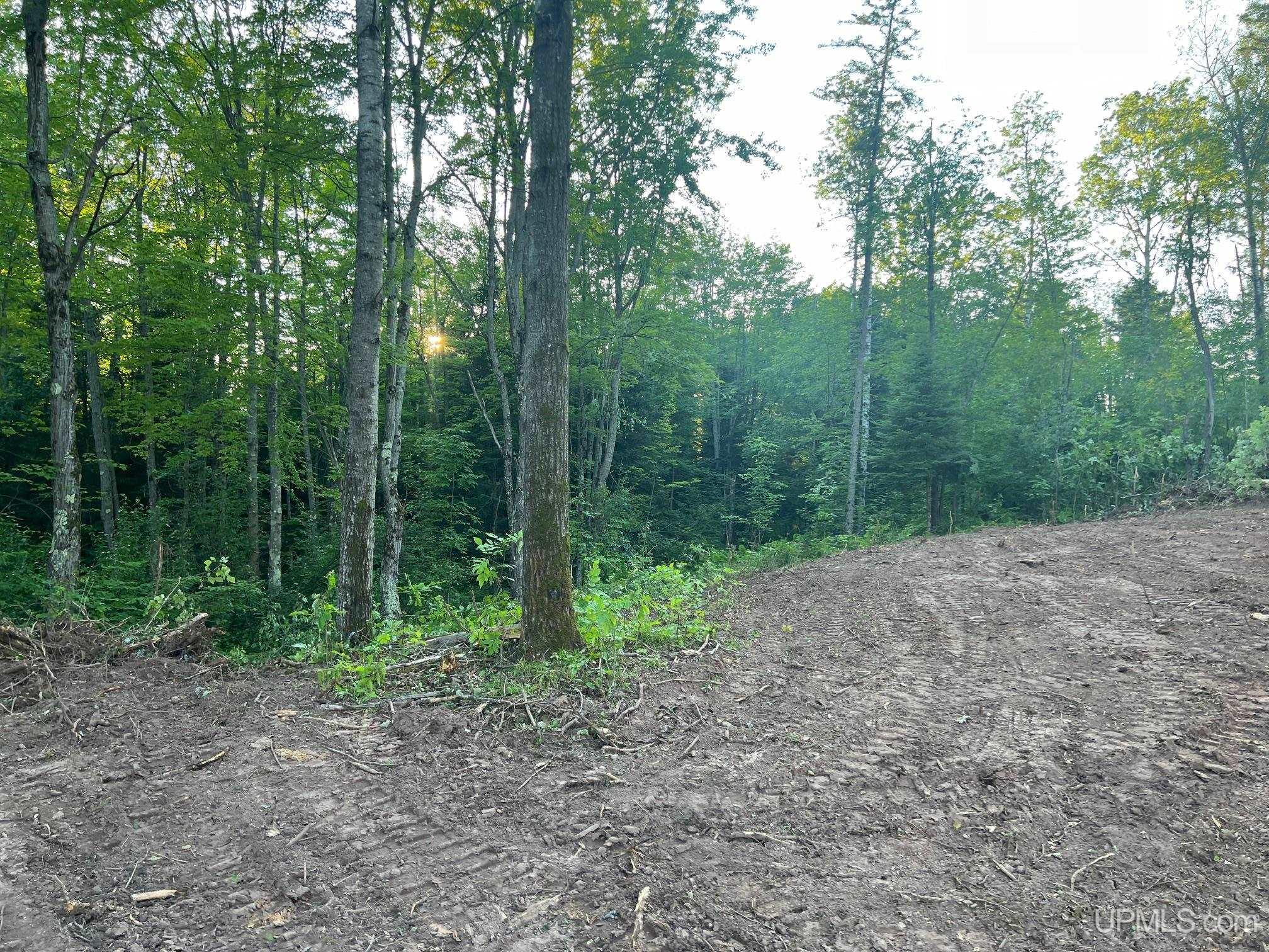 16130 Bellaire Road photo 8