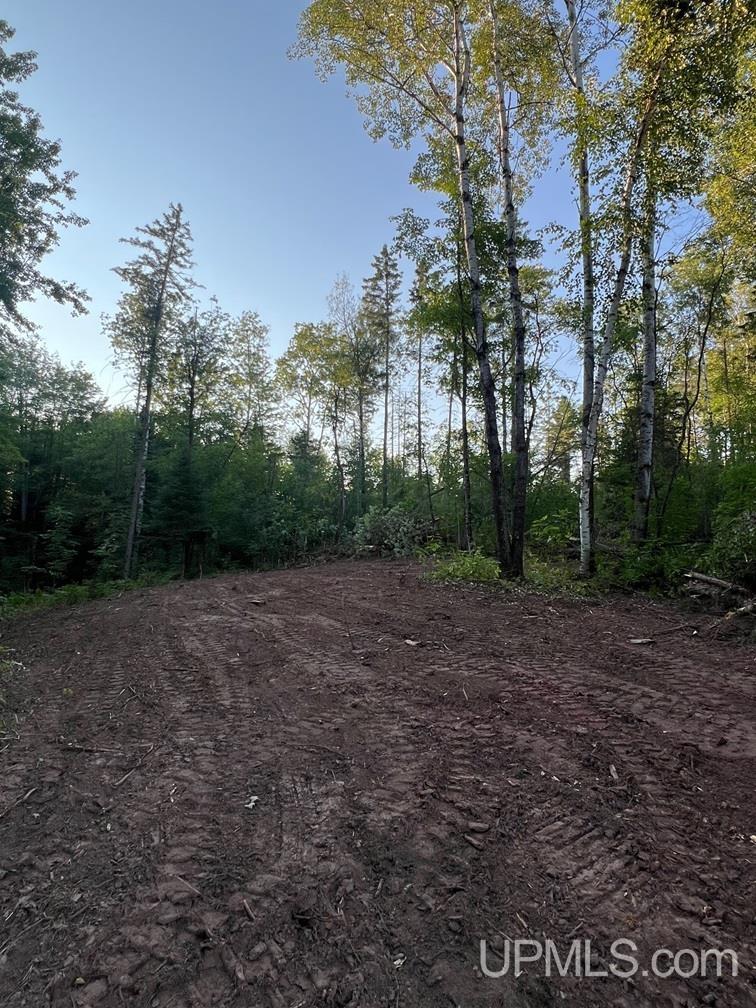 16130 Bellaire Road photo 9
