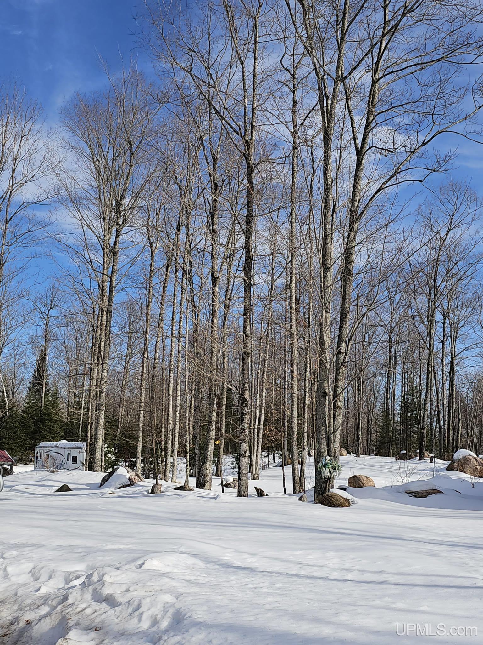 7990 W Herzog Road, Iron Mountain, MI, 49801