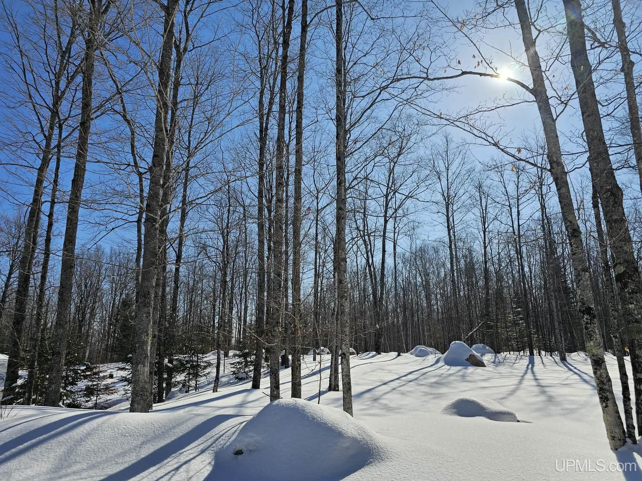 7990 W Herzog Road, Iron Mountain, MI, 49801