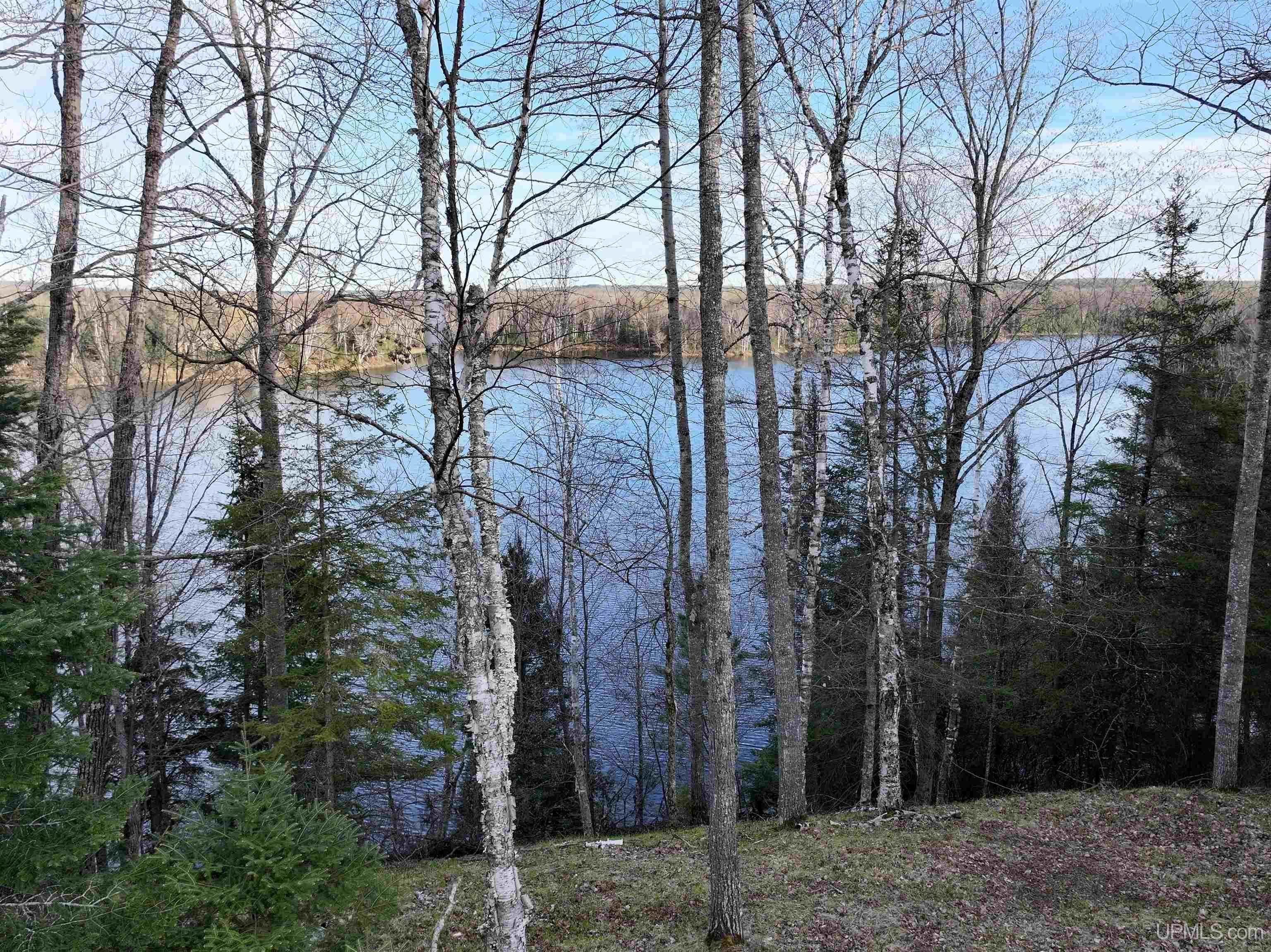 MLS 50200382 Large photo number 59 