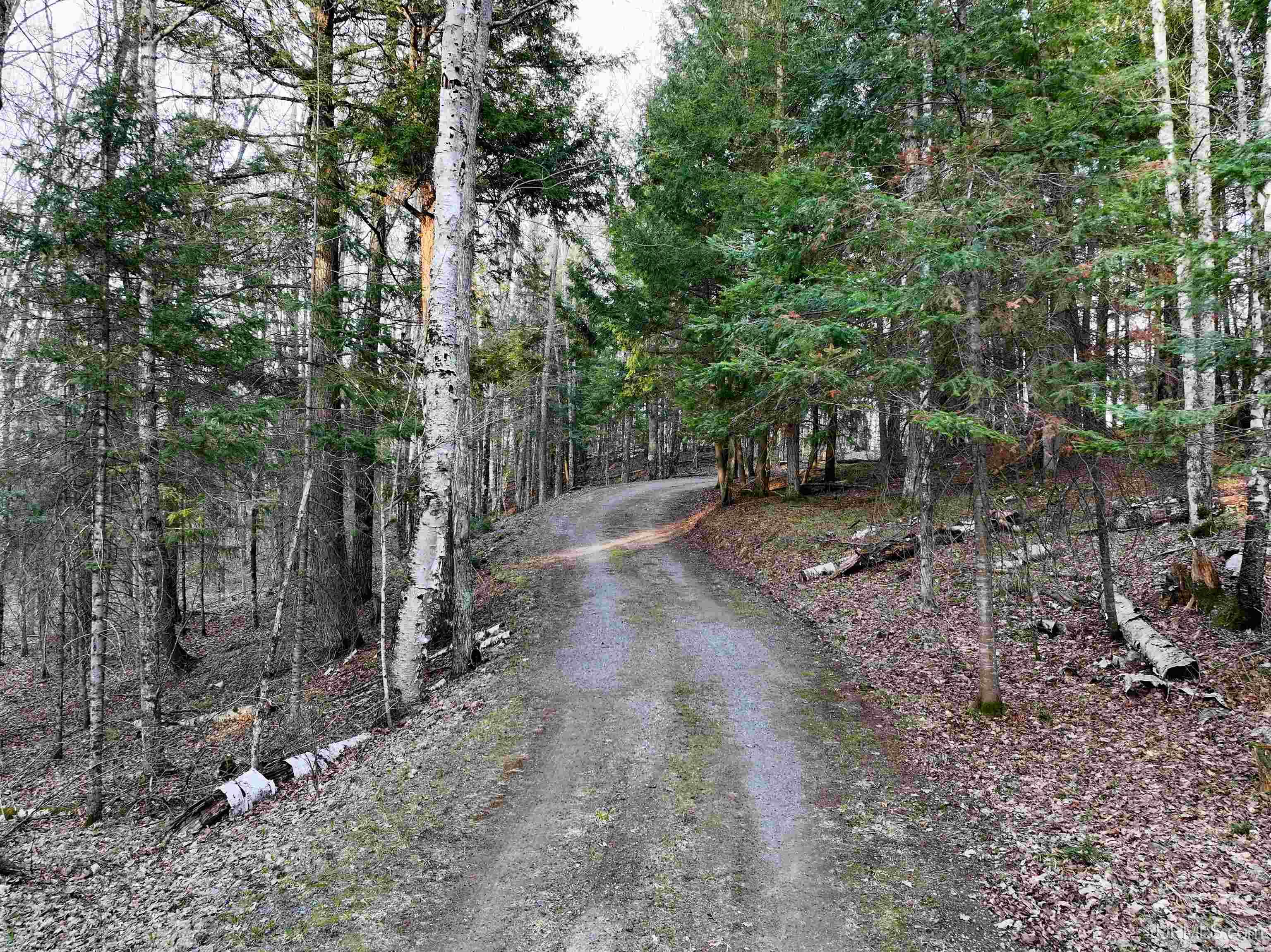 MLS 50200382 Large photo number 74 