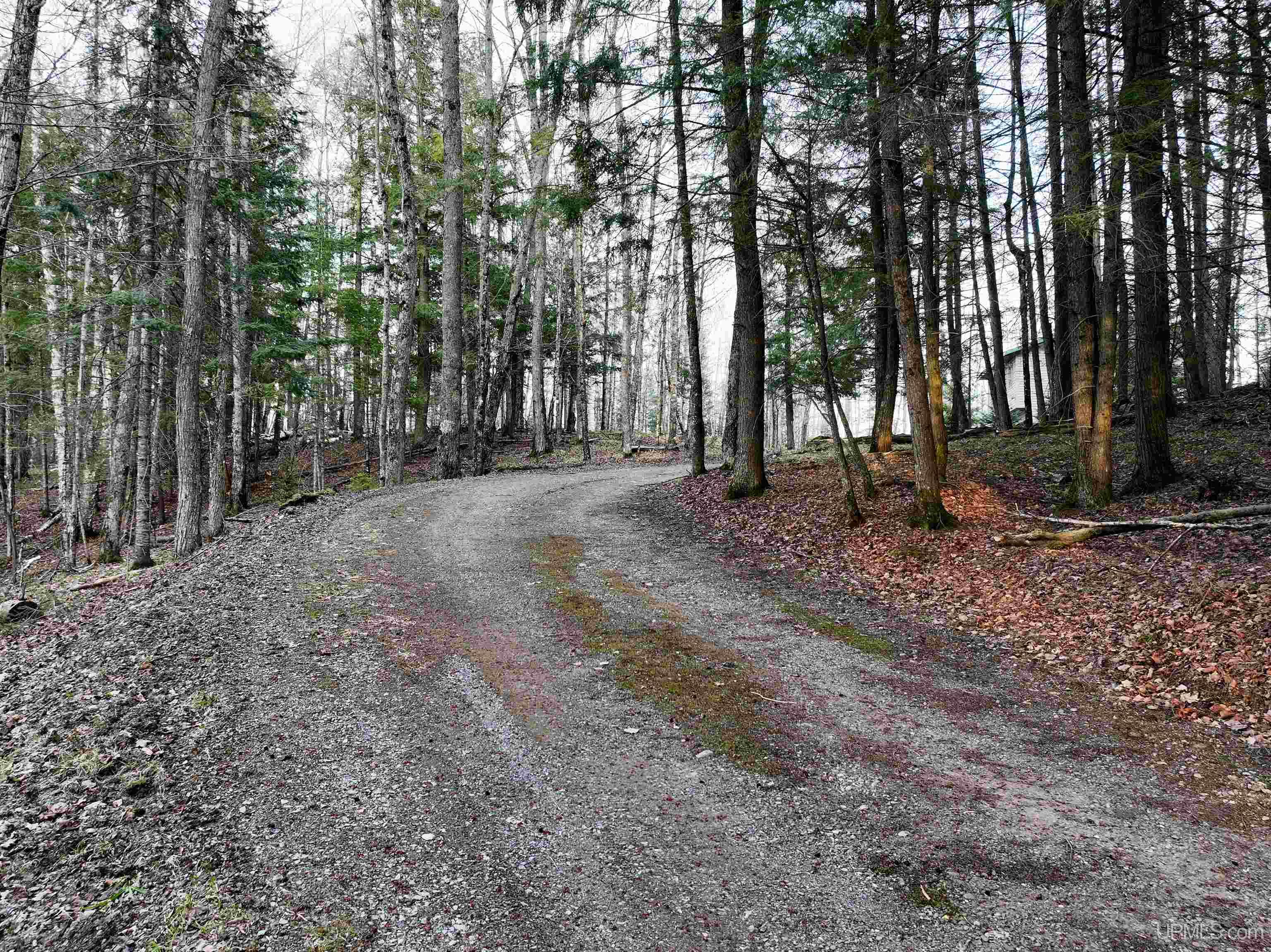 MLS 50200382 Large photo number 75 