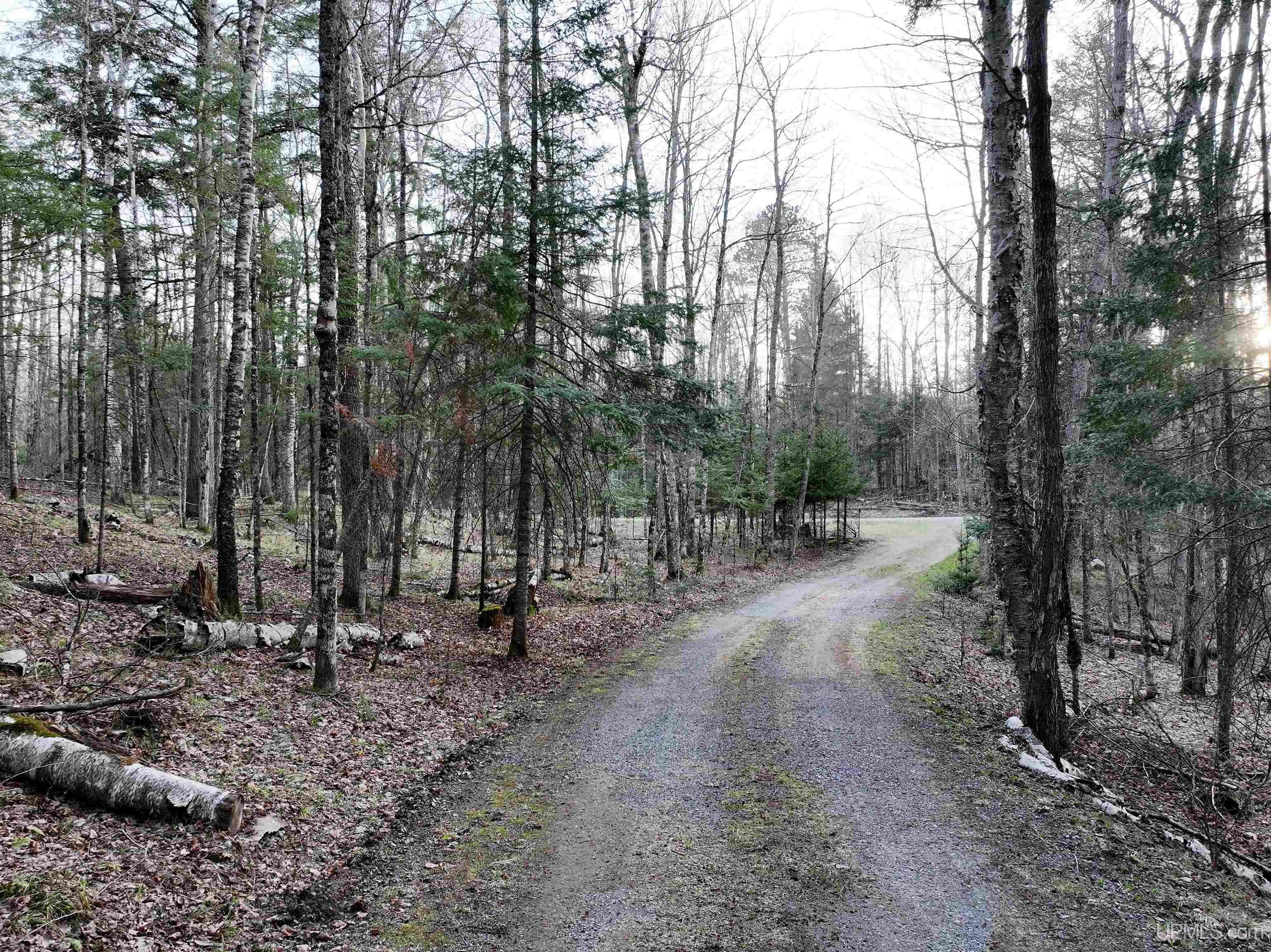 MLS 50200382 Large photo number 76 