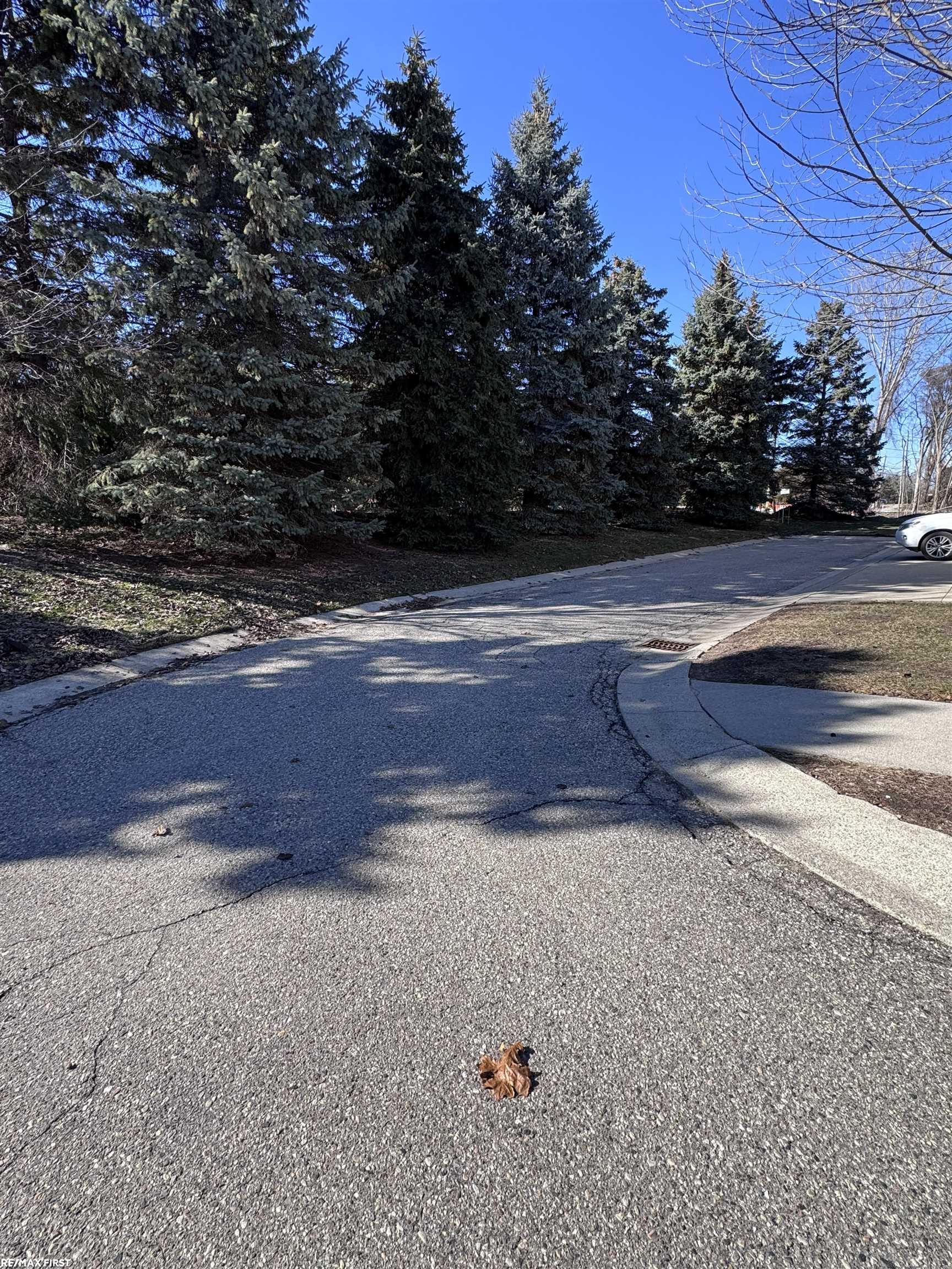 13641 Silver Birch Circle, Shelby Twp, MI, 48315