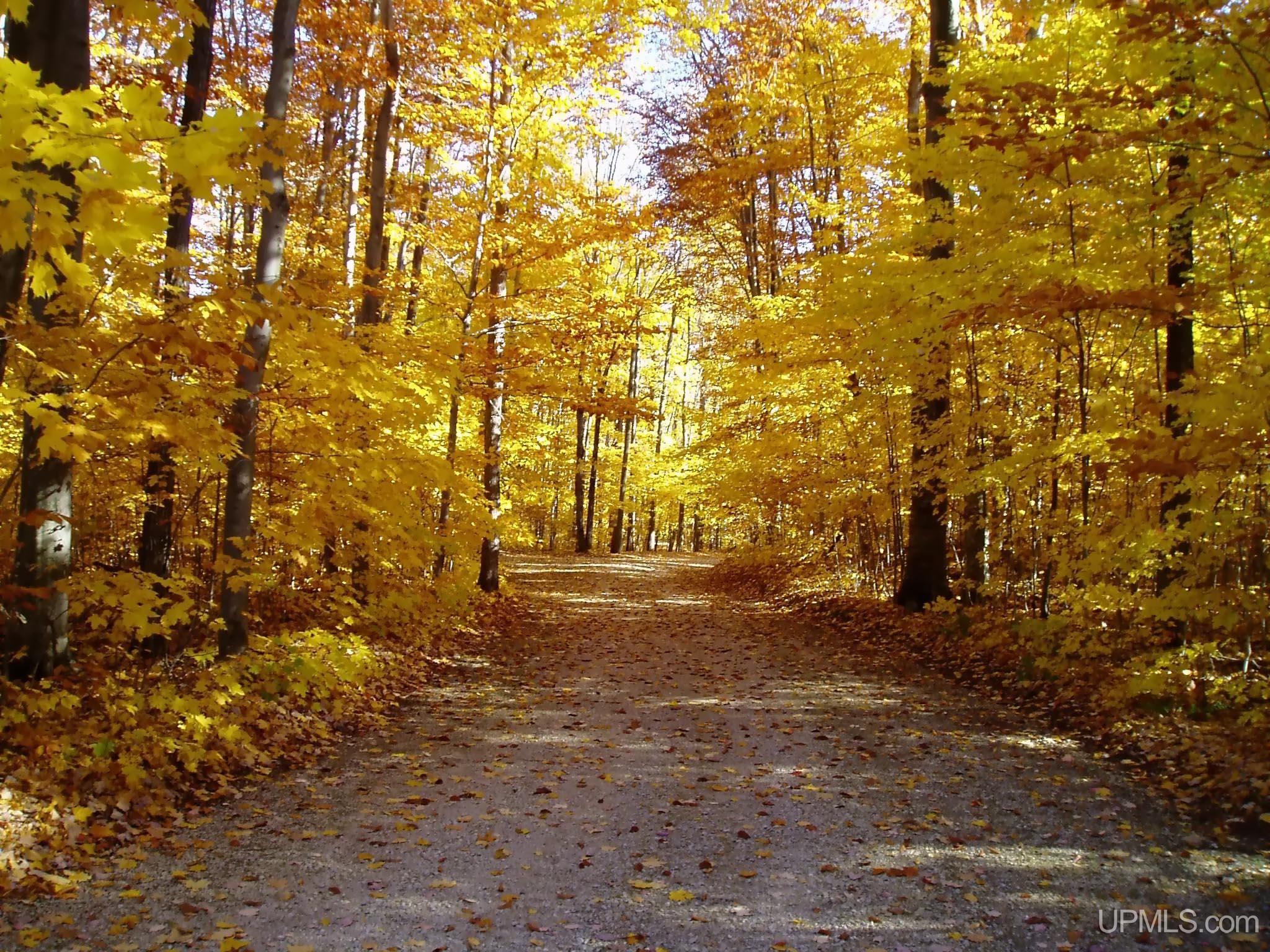 7888 W Island Lake Road, Manistique, MI, 49854