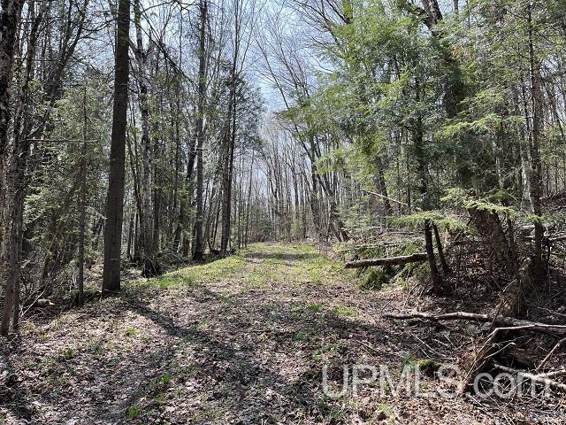 Photo of property for sale at 40 Acres Little Lake Road, Gwinn MI 49841